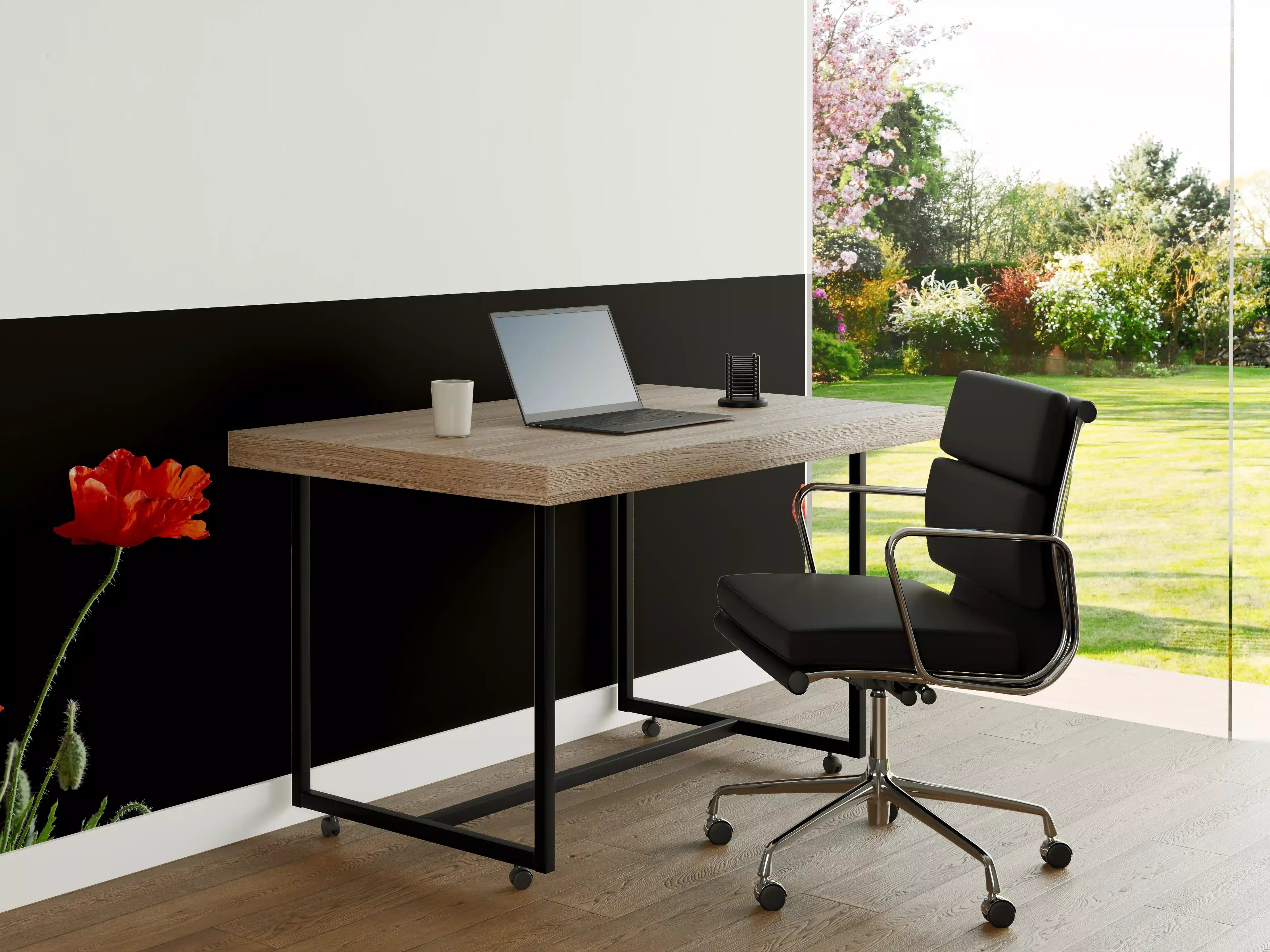 Büro Wandgestaltung - Rote Mohnblumen auf Schwarz