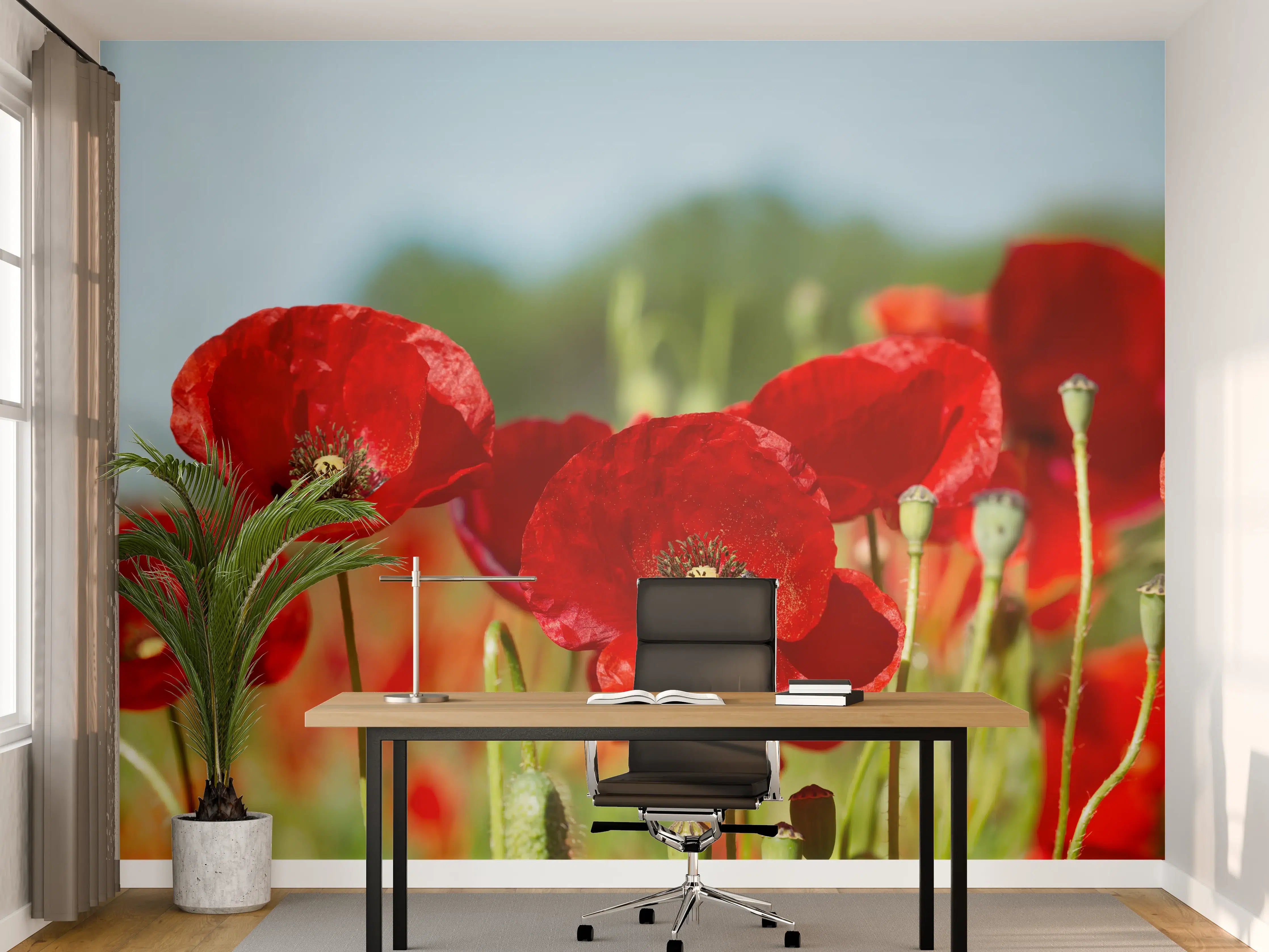 Büro Wandgestaltung - Rote Mohnblumen auf einem Feld