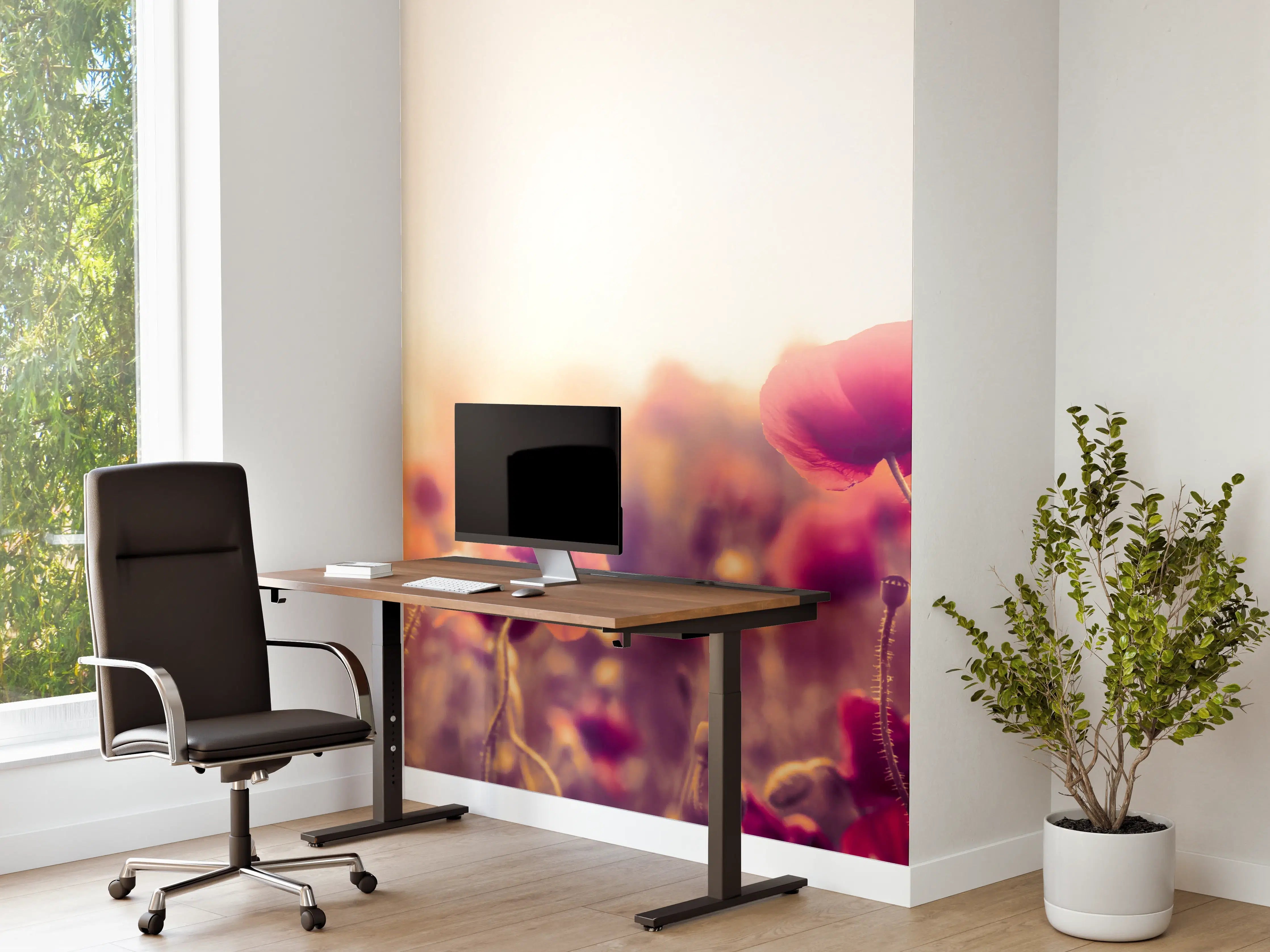 Büro Wandgestaltung - Rote Mohnblumen in der Sonne