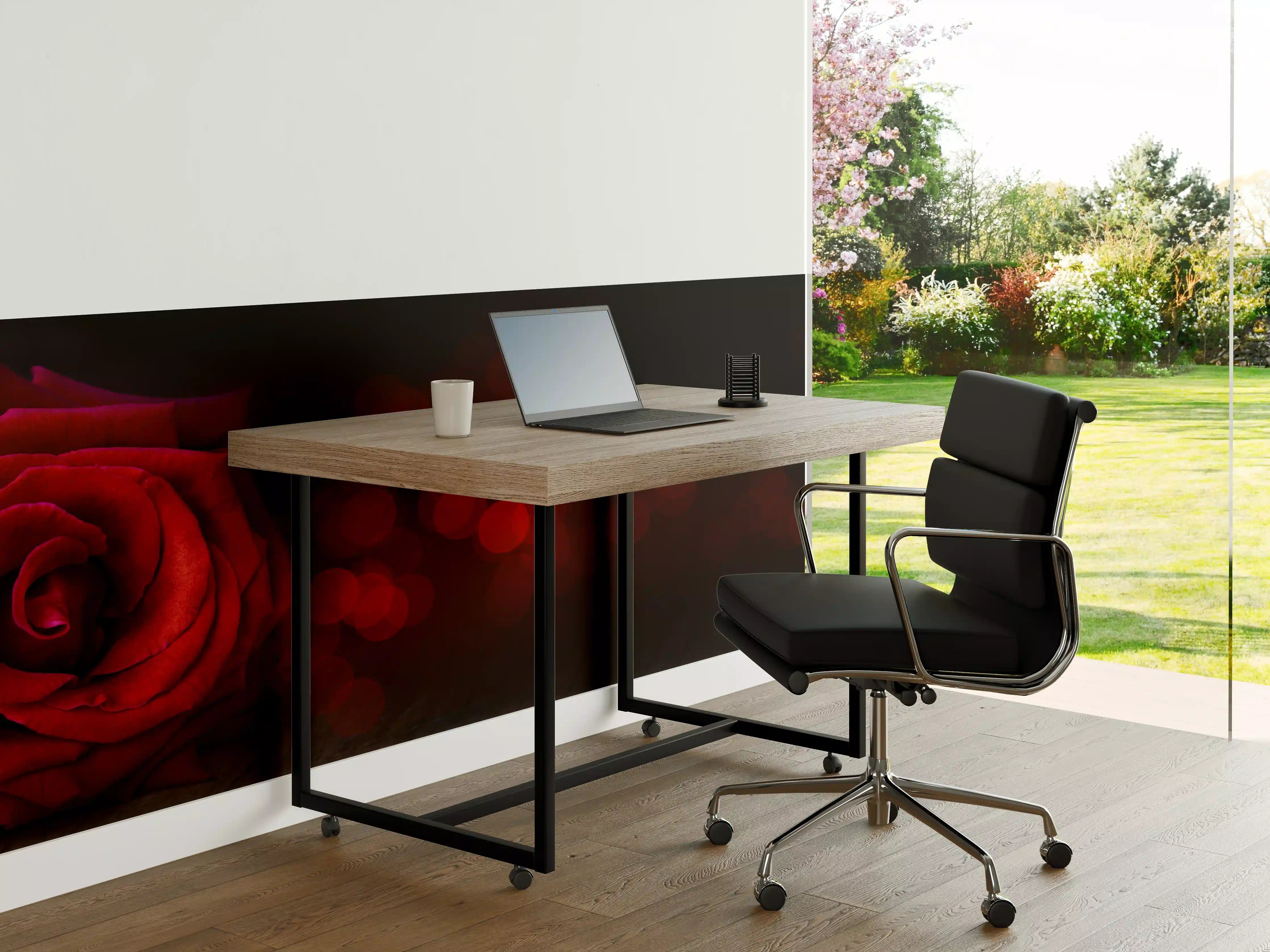 Büro Wandgestaltung - Rote Rose auf schwarzem Hintergrund