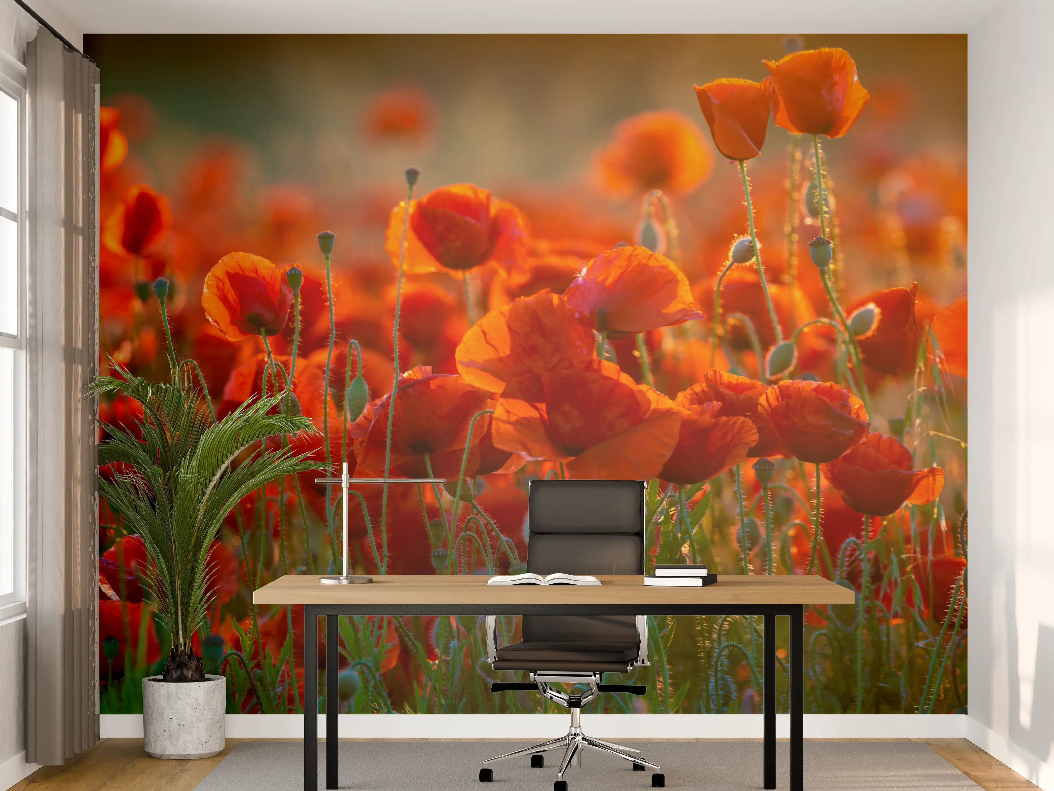 Büro Wandgestaltung - Rotes Mohnfeld Panorama