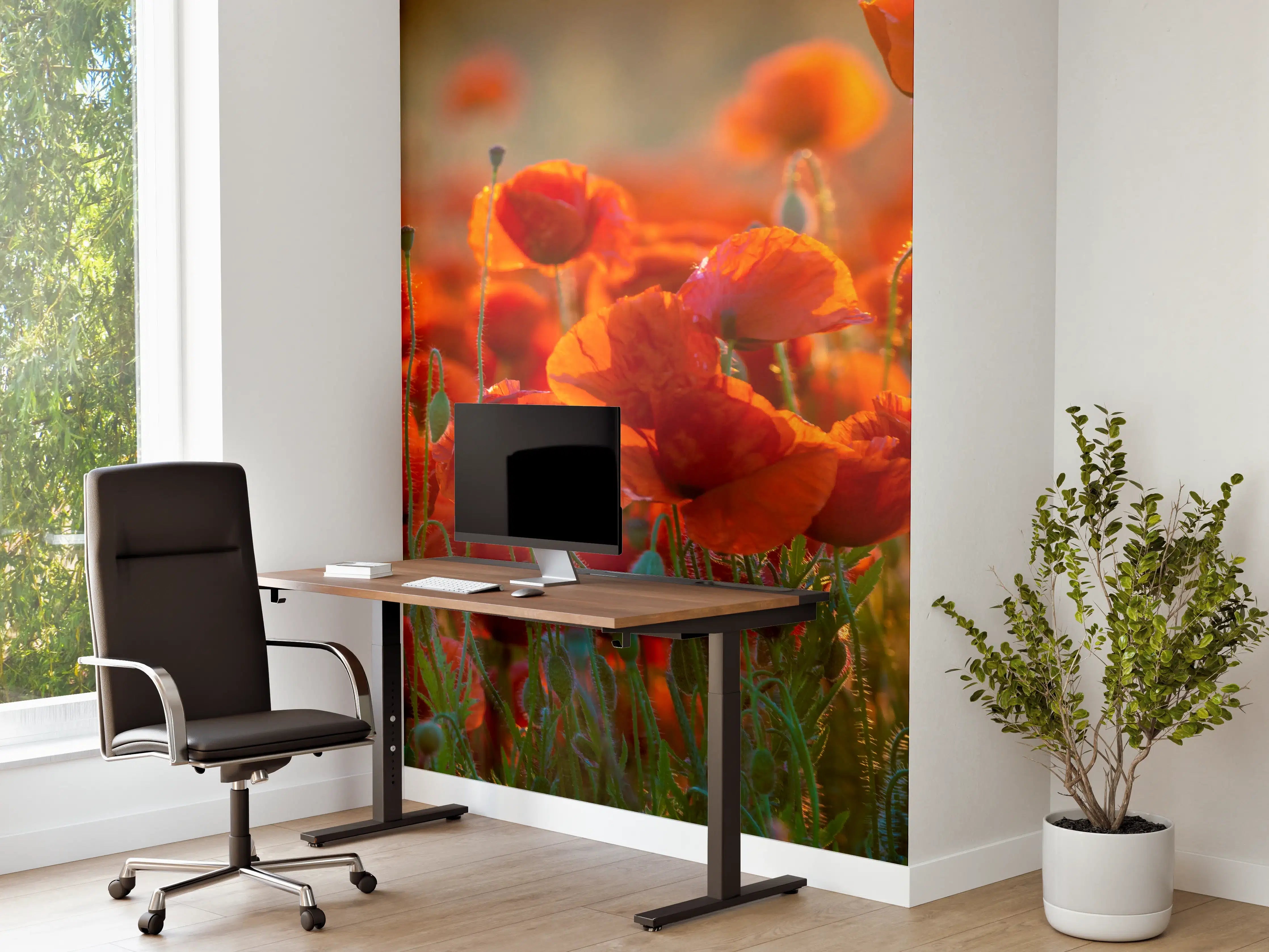 Büro Wandgestaltung - Rotes Mohnfeld Panorama