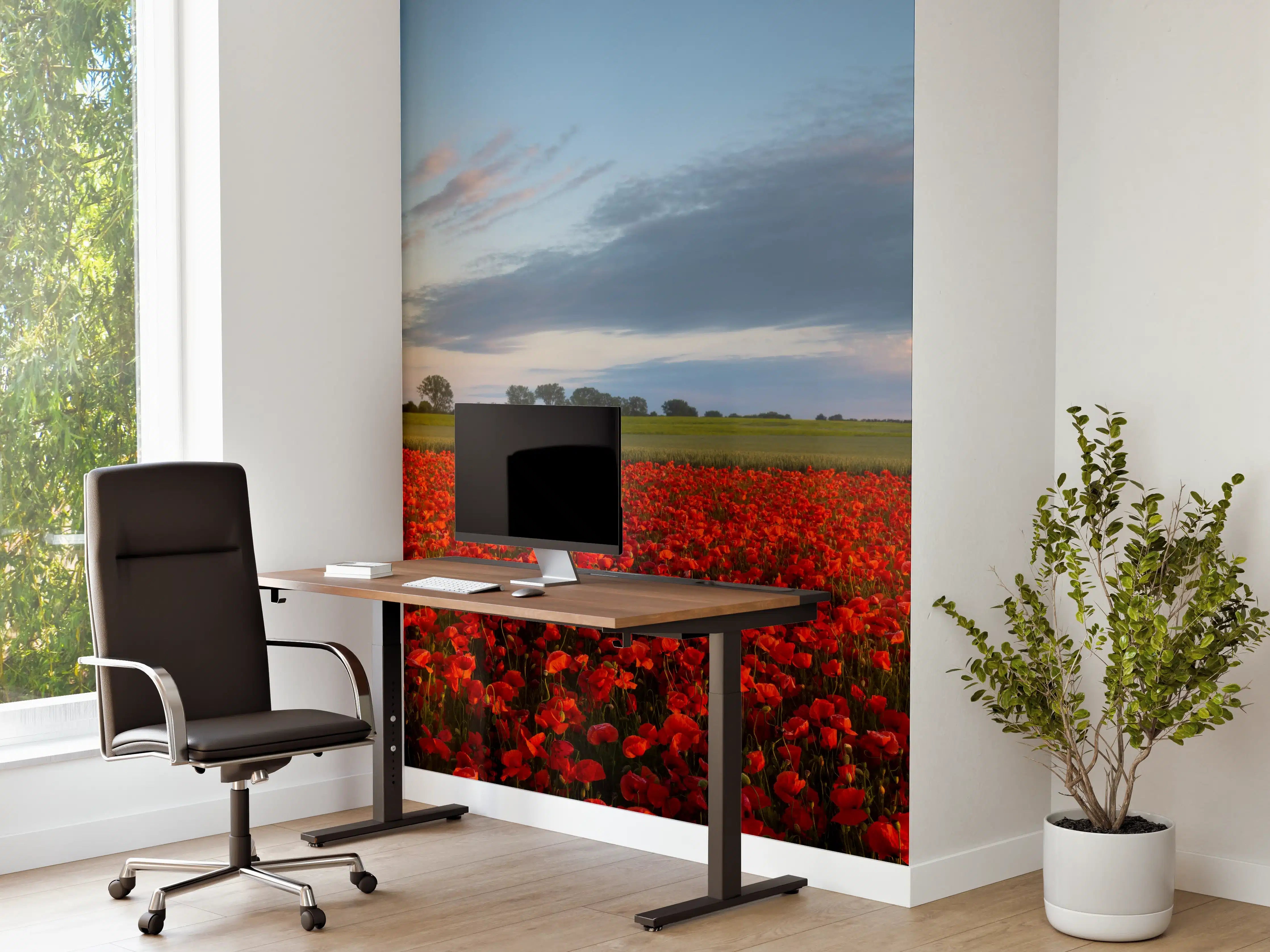 Büro Wandgestaltung - Rotes Mohnfeld unter blauem Himmel