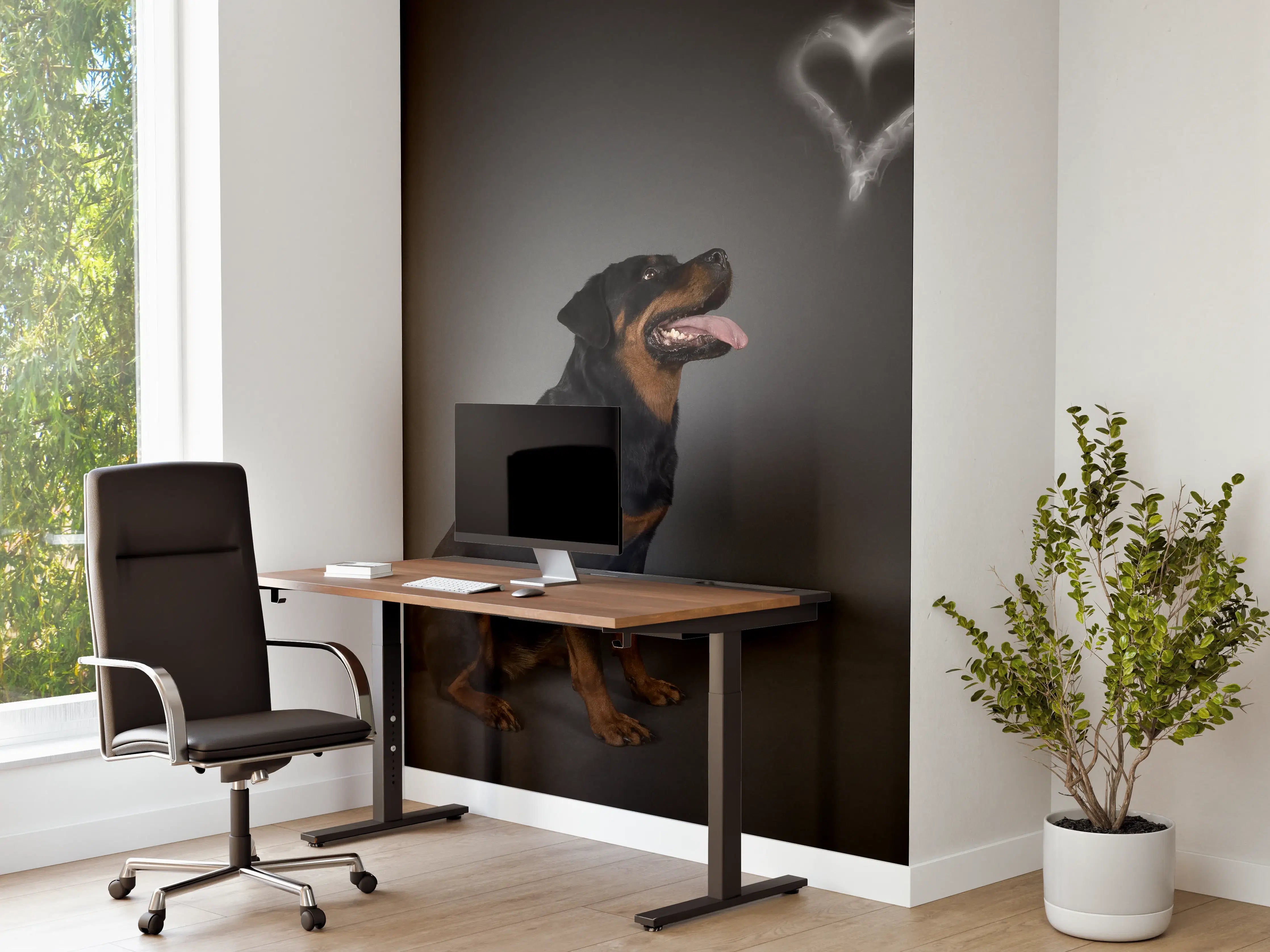 Büro Wandgestaltung - Rottweiler sitzend mit Blick auf Herz
