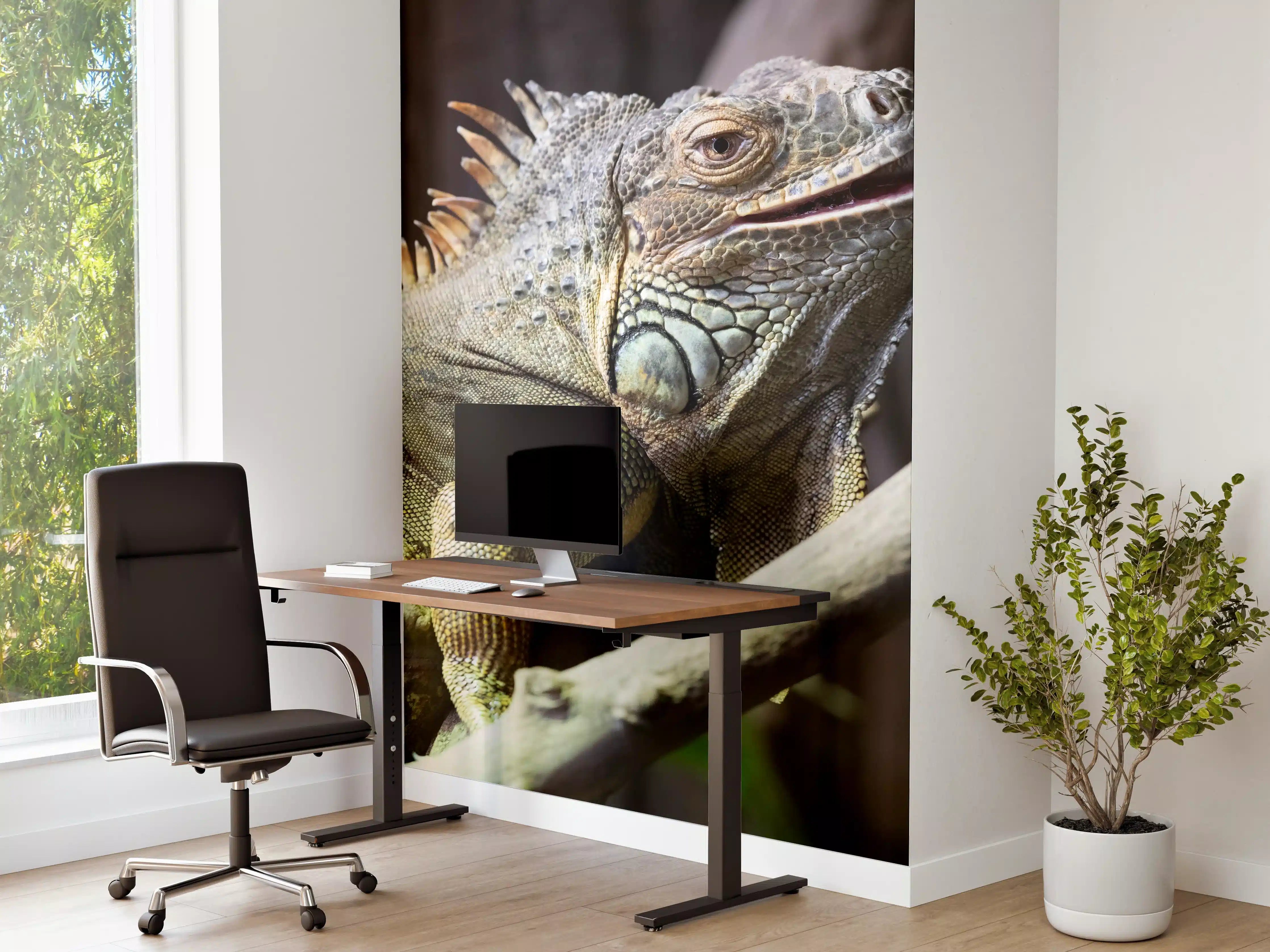 Büro Wandgestaltung - Ruhender Leguan