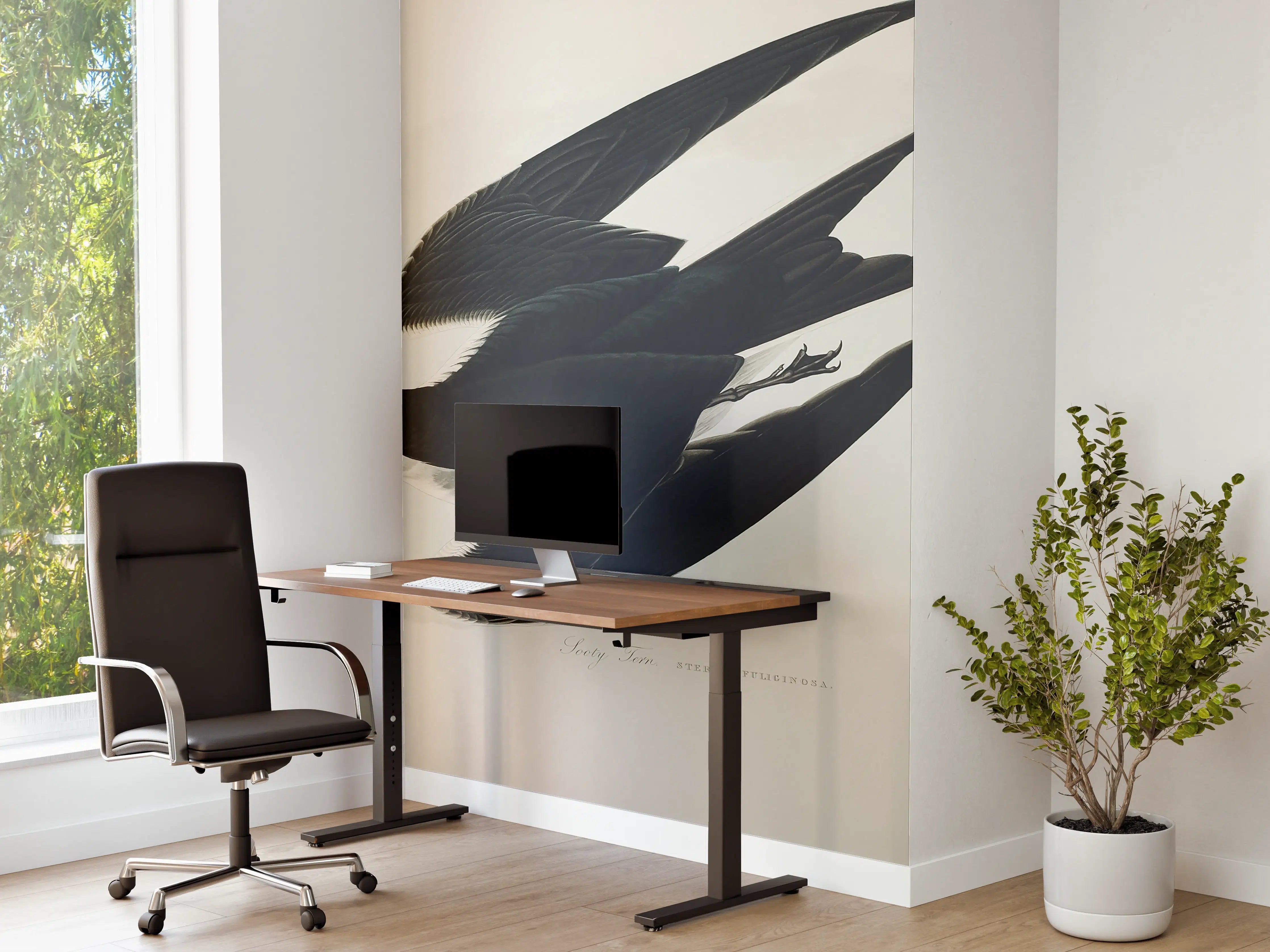 Büro Wandgestaltung - Rußseeschwalbe Portrait - John James Audubon