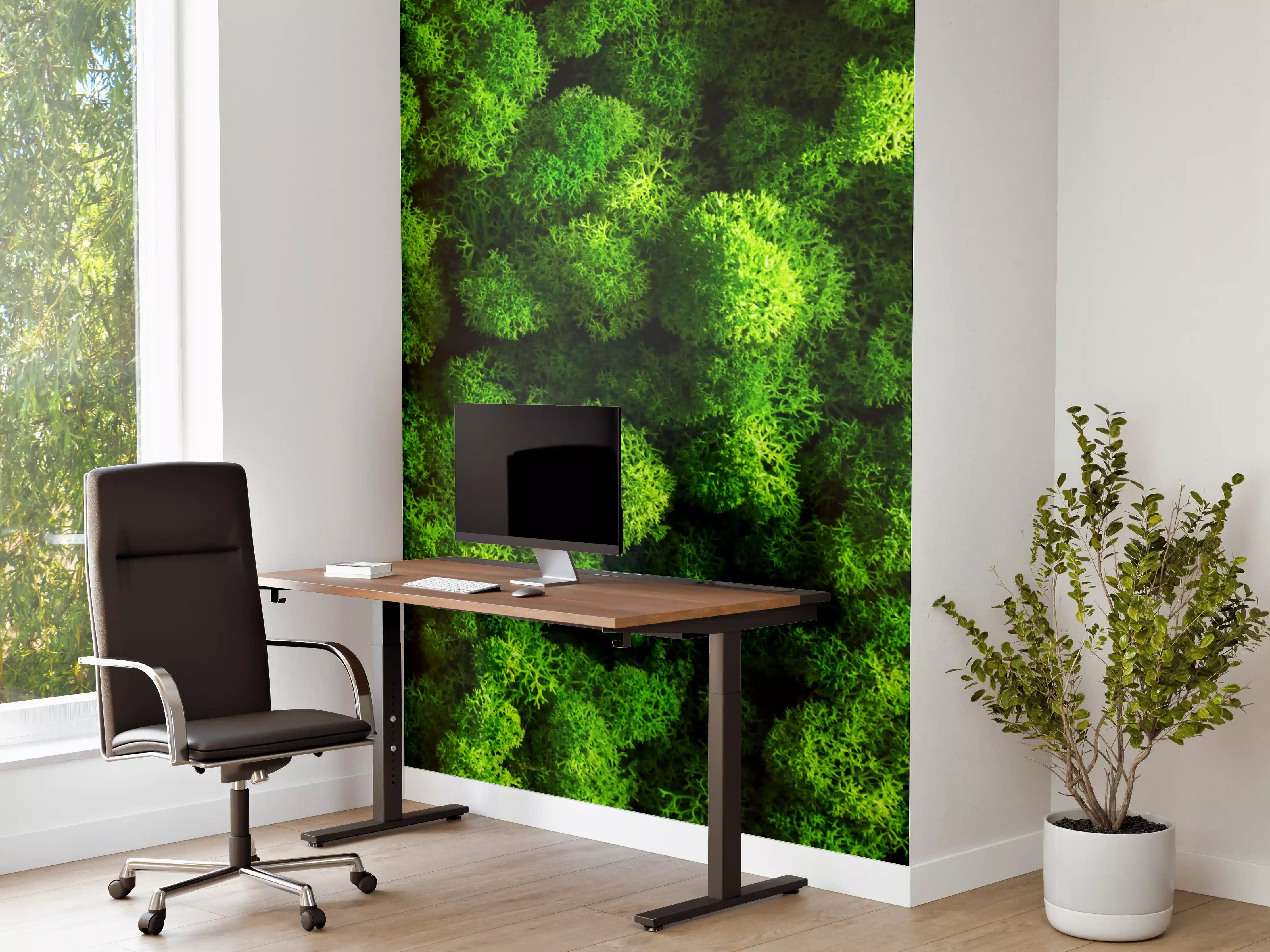 Büro Wandgestaltung - Saftiger Grüner Moosboden