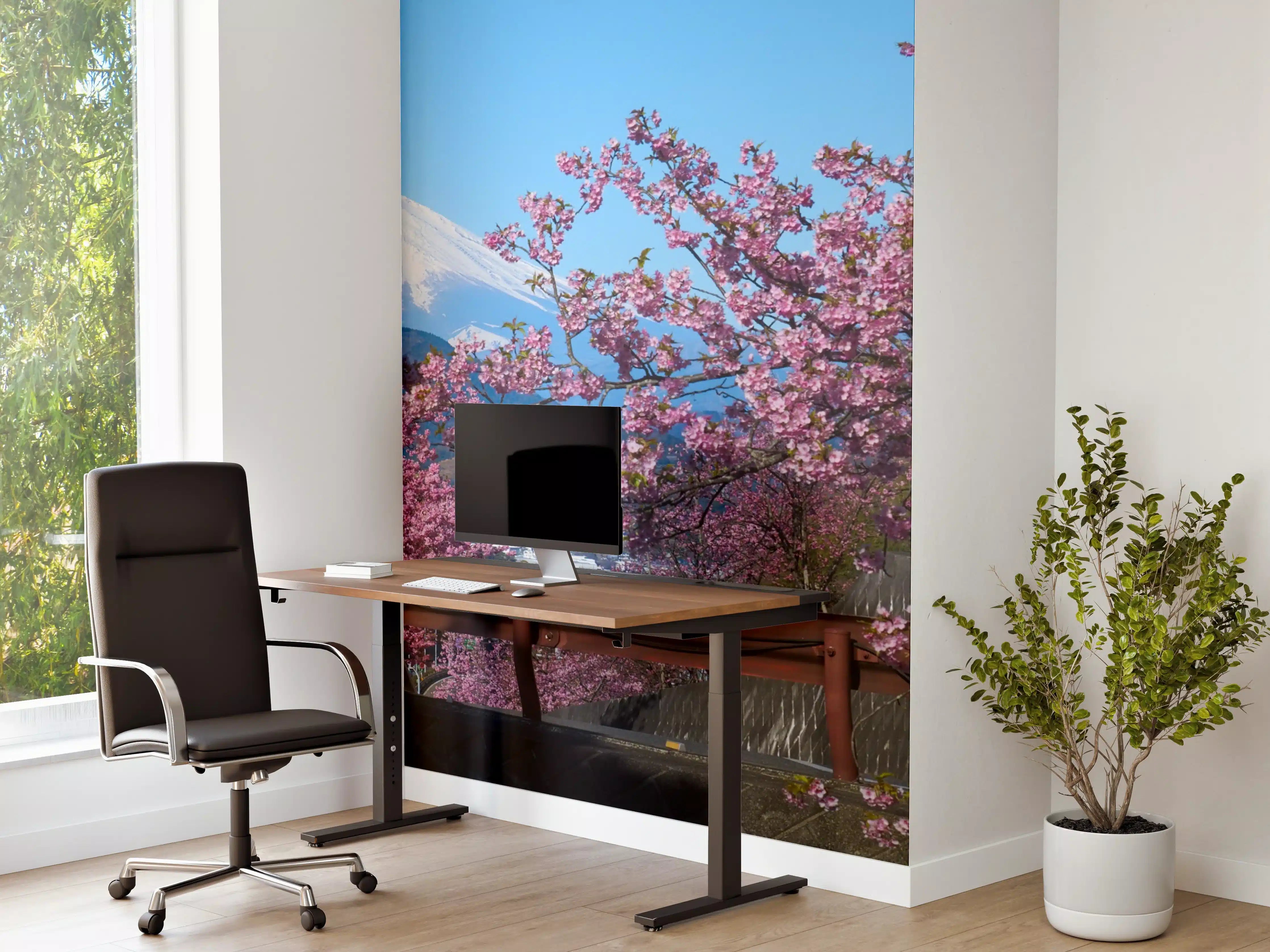 Büro Wandgestaltung - Saihu-Ansicht mit Kirschblüten und Berg