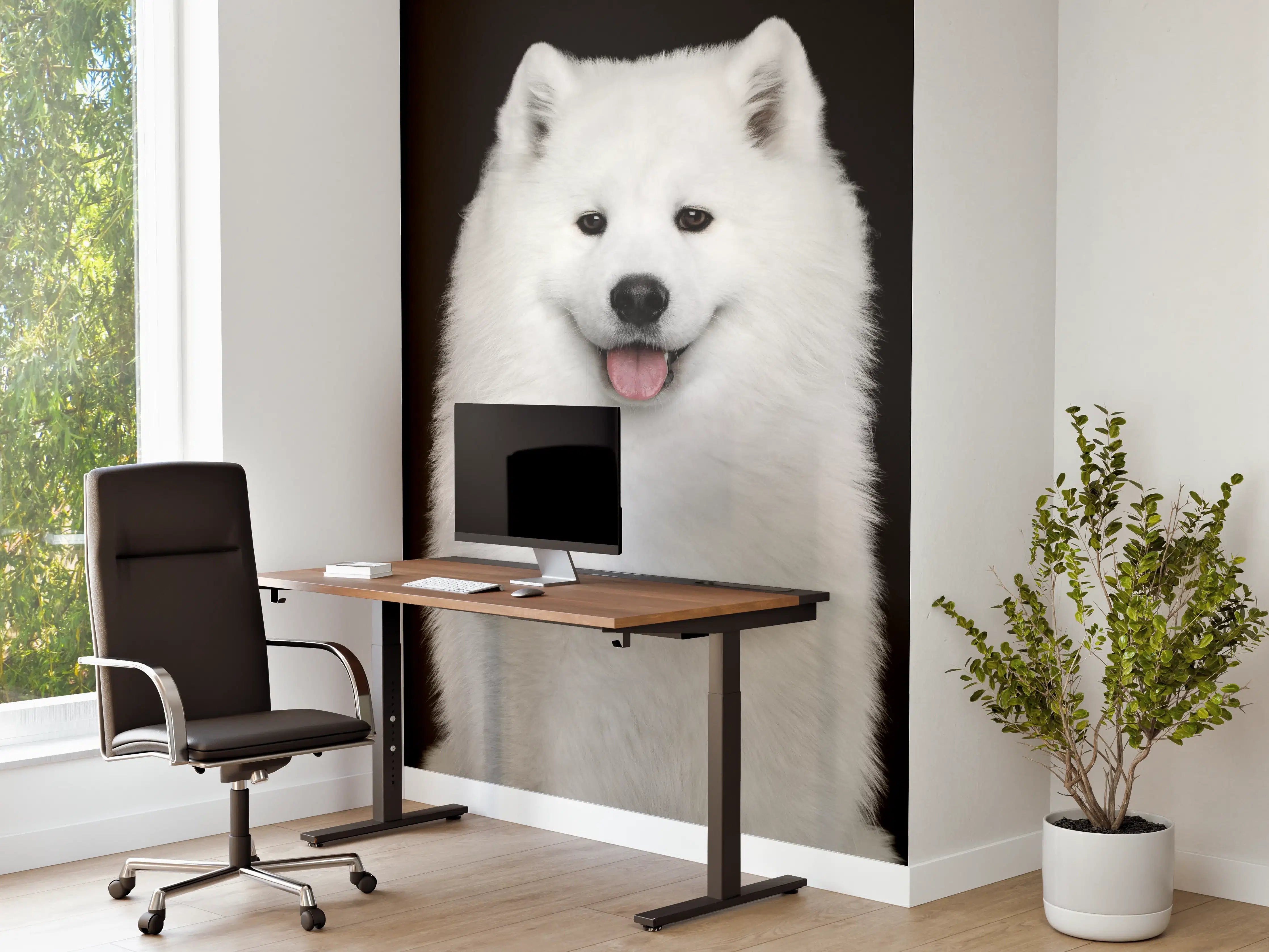 Büro Wandgestaltung - Samojeden Hund