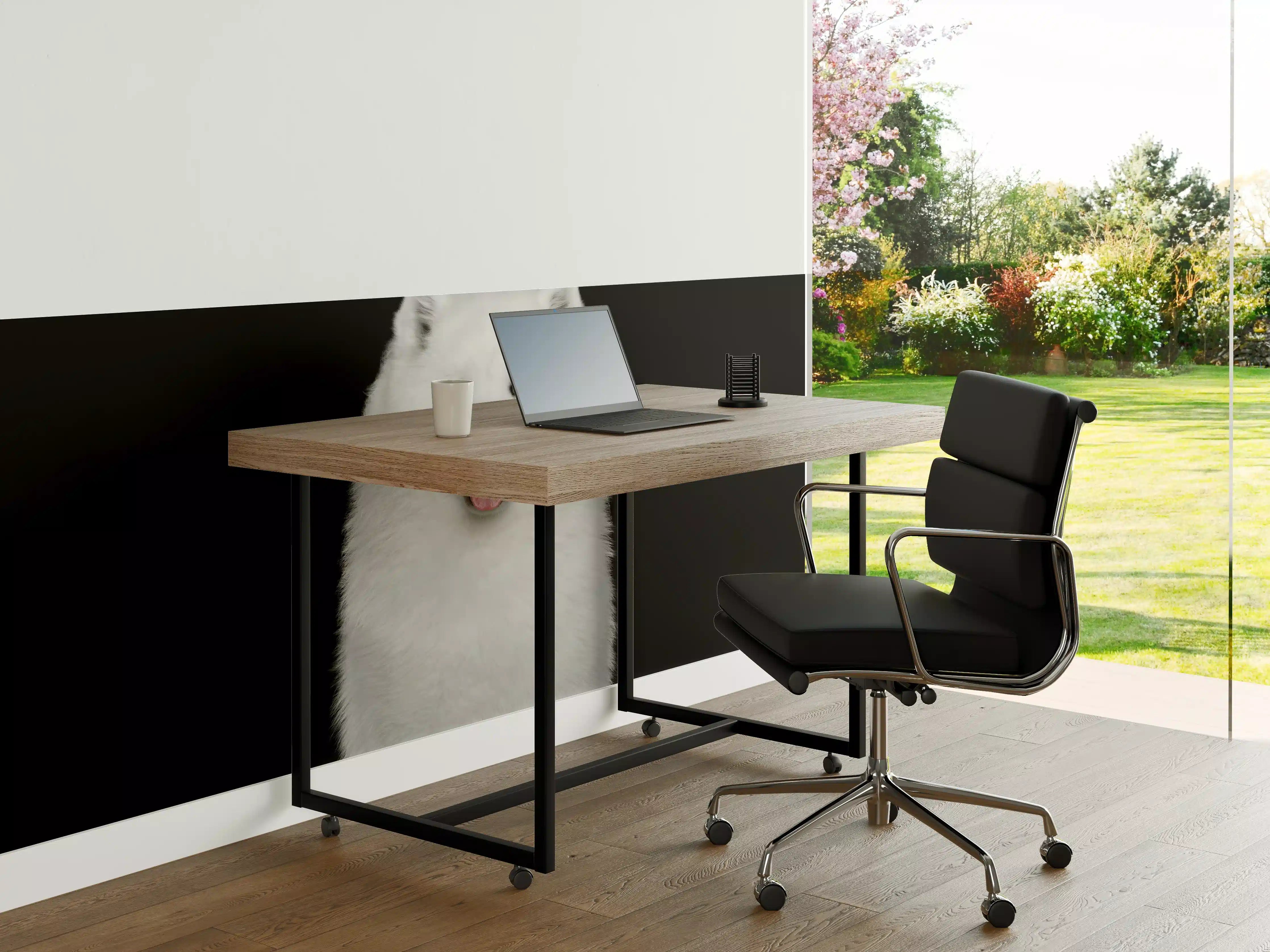 Büro Wandgestaltung - Samojeden Hund