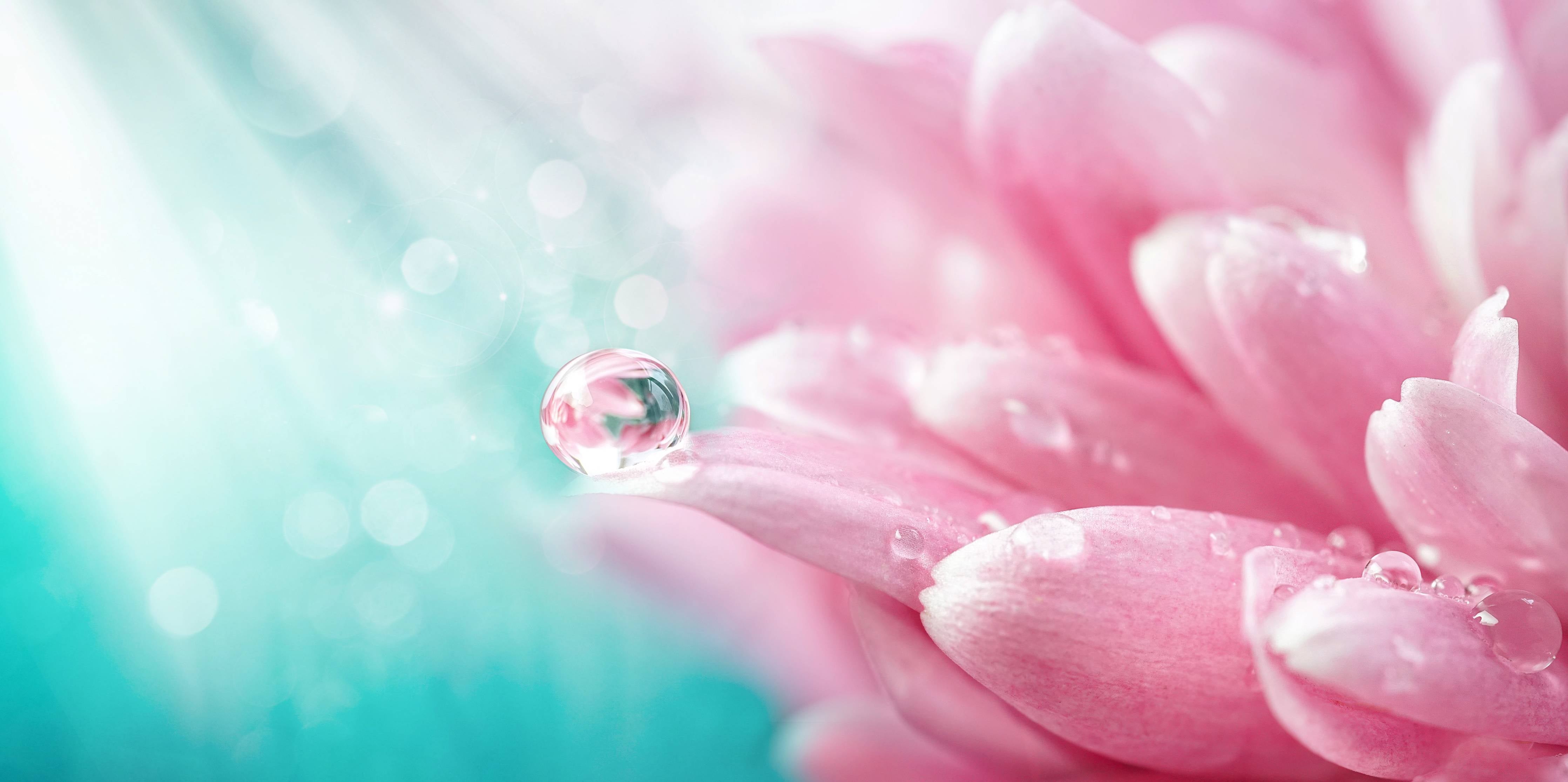 Büro Wandgestaltung-Sanfte Pinkblumen mit Wassertröpfchen