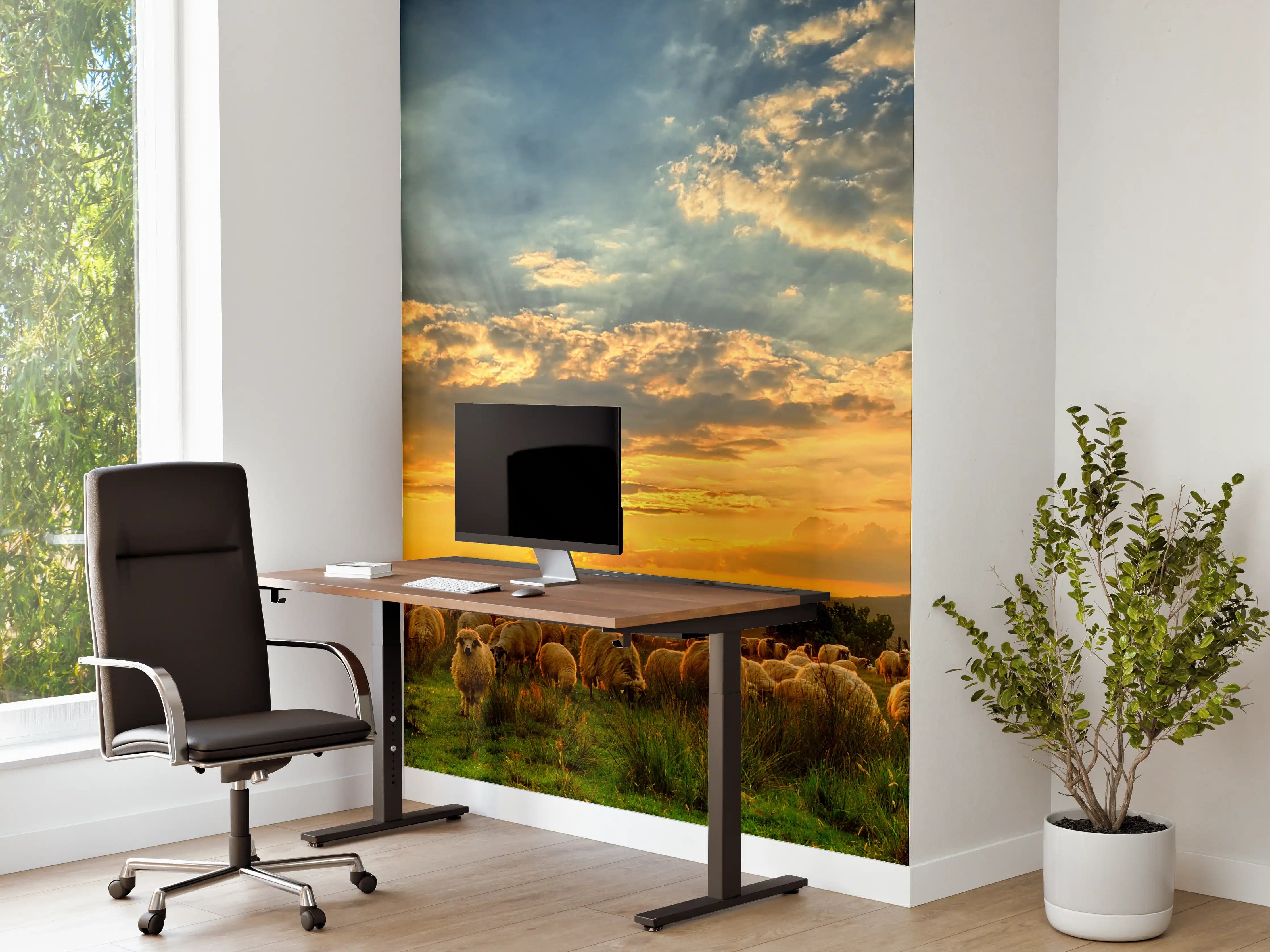 Büro Wandgestaltung - Schafsherde bei Sonnenuntergang