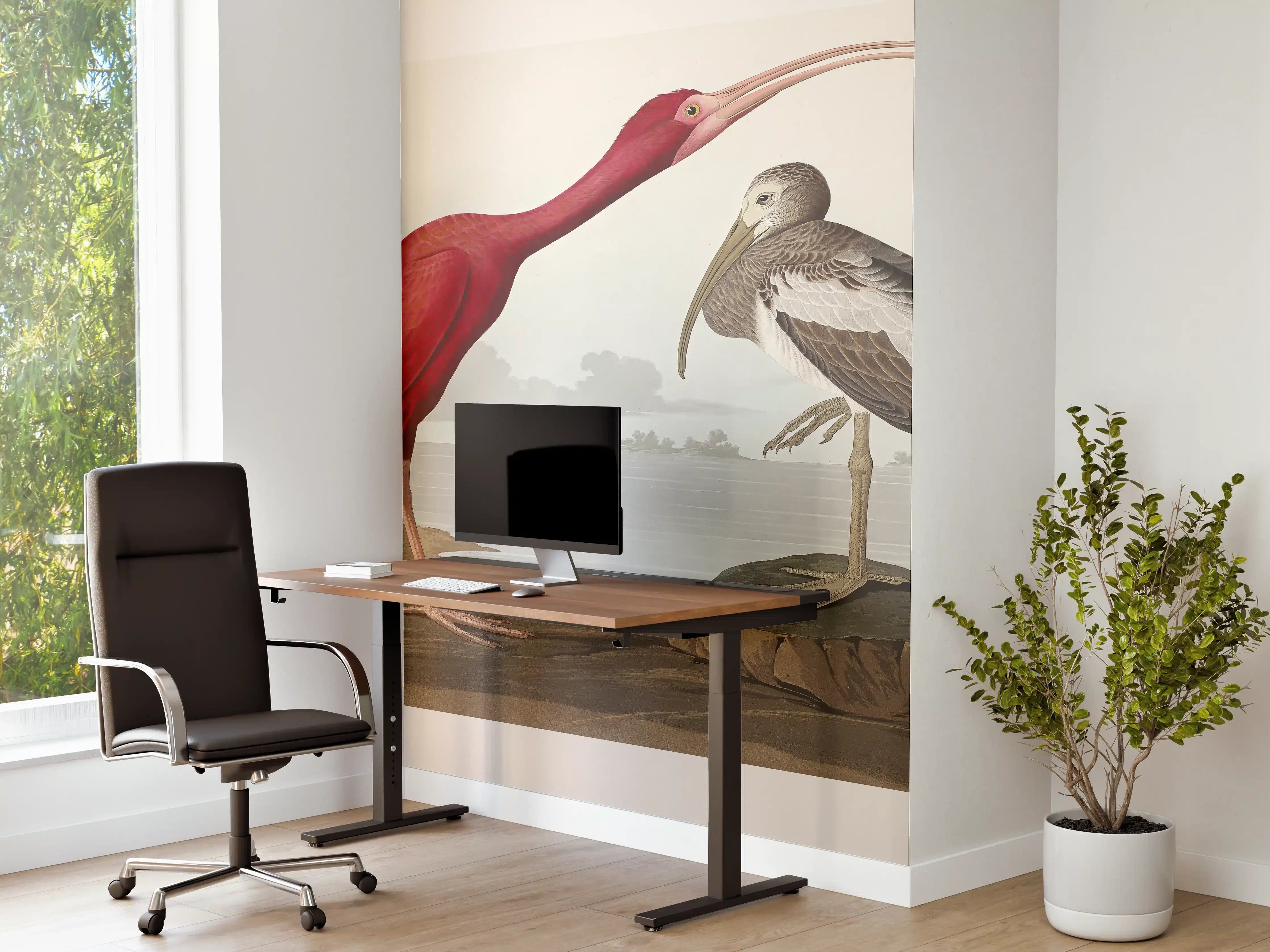 Büro Wandgestaltung - Scharlachsichler Portrait - John James Audubon