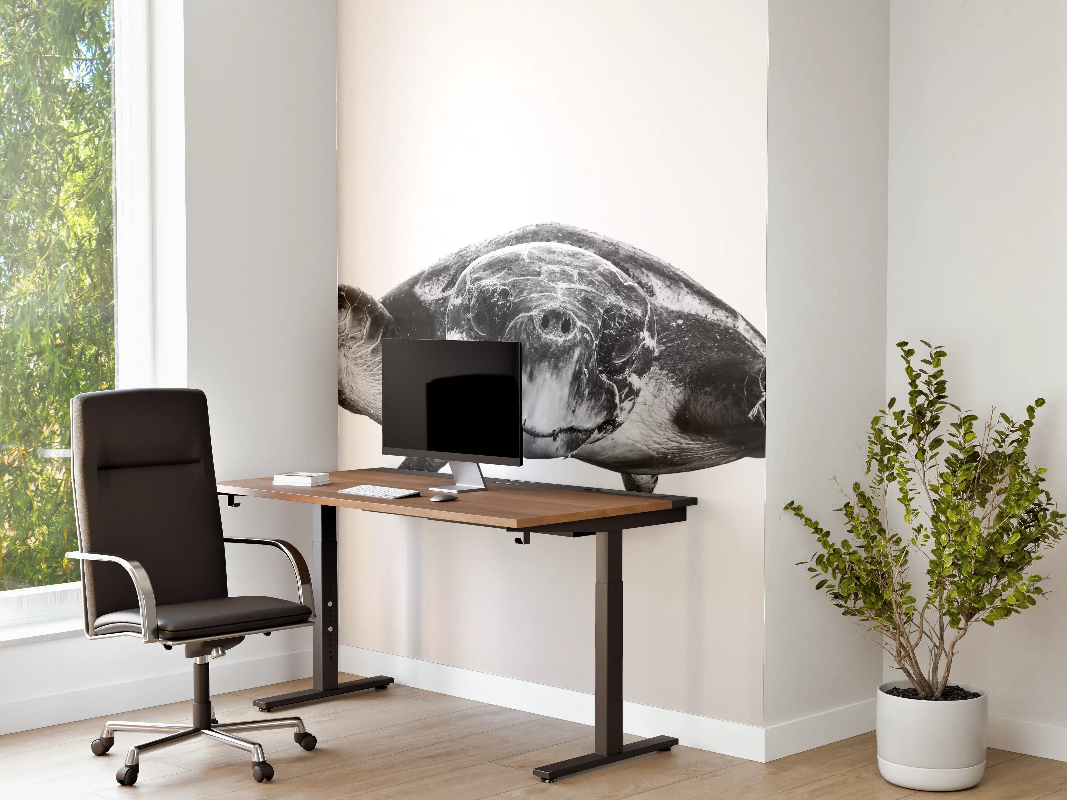 Büro Wandgestaltung - Schildkröte