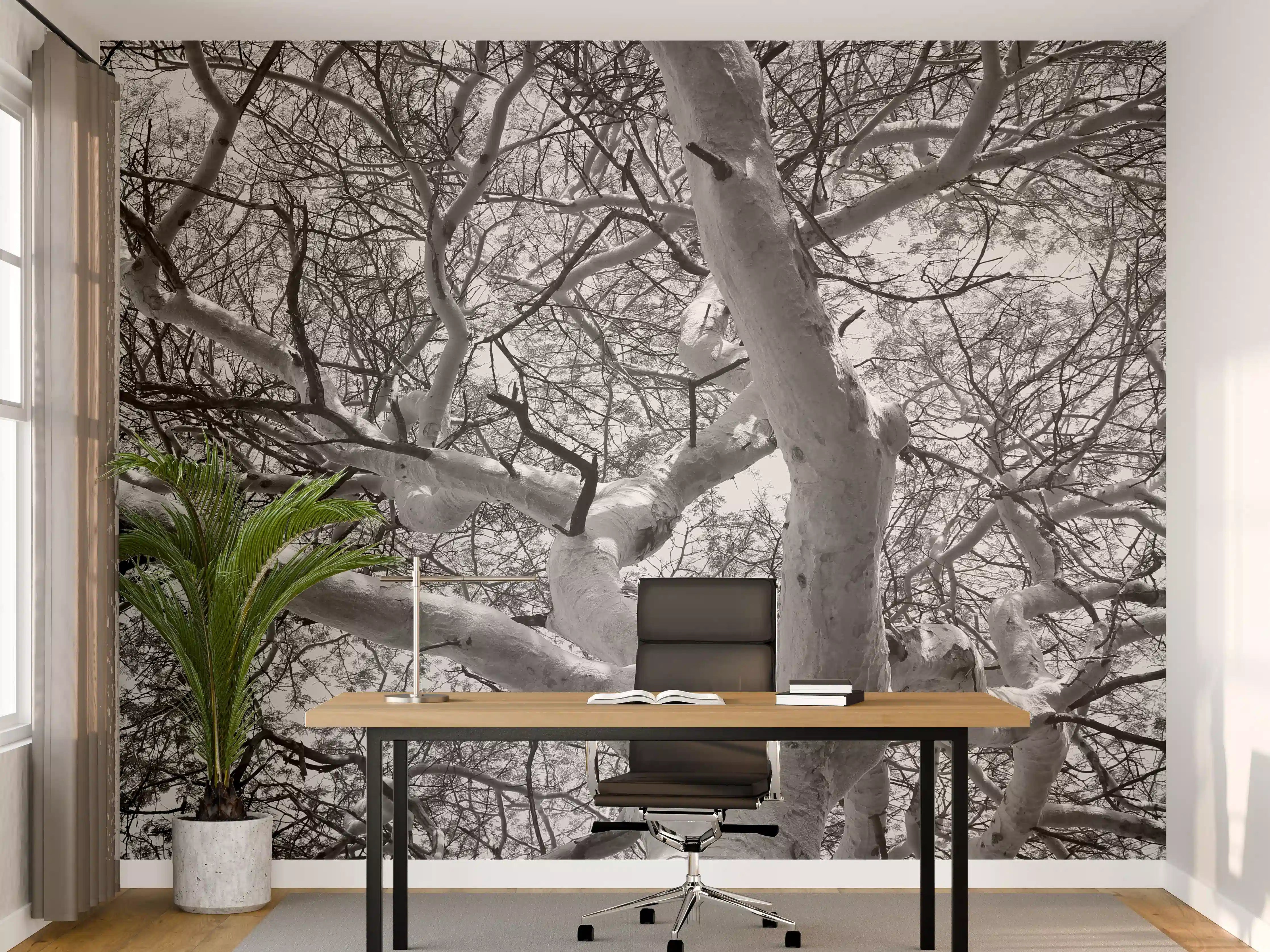 Büro Wandgestaltung - Schneeüberdeckte Baumkrone