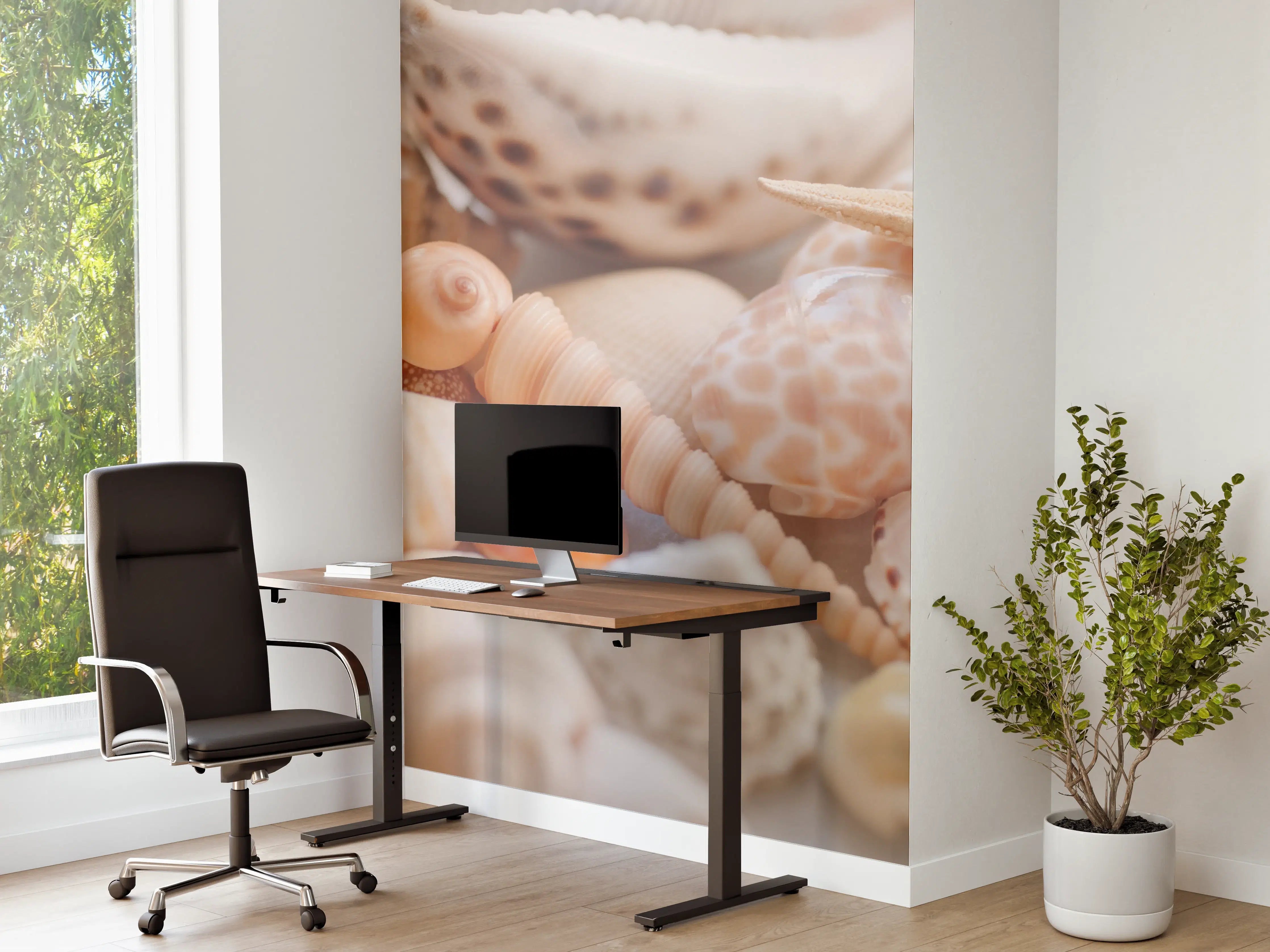 Büro Wandgestaltung - Schöne Muschelsammlung