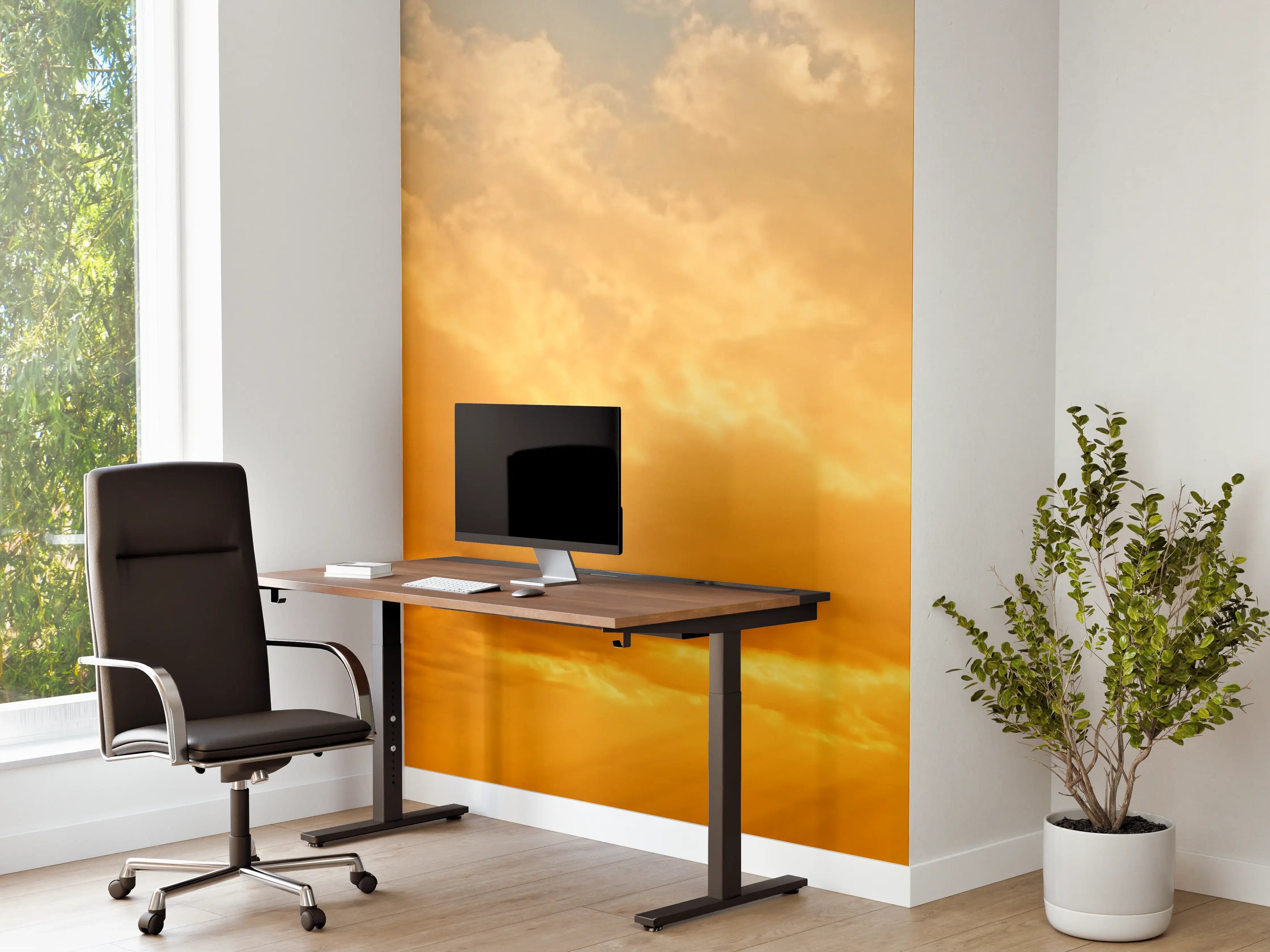 Büro Wandgestaltung - Schöner Blick auf Sonnenuntergang