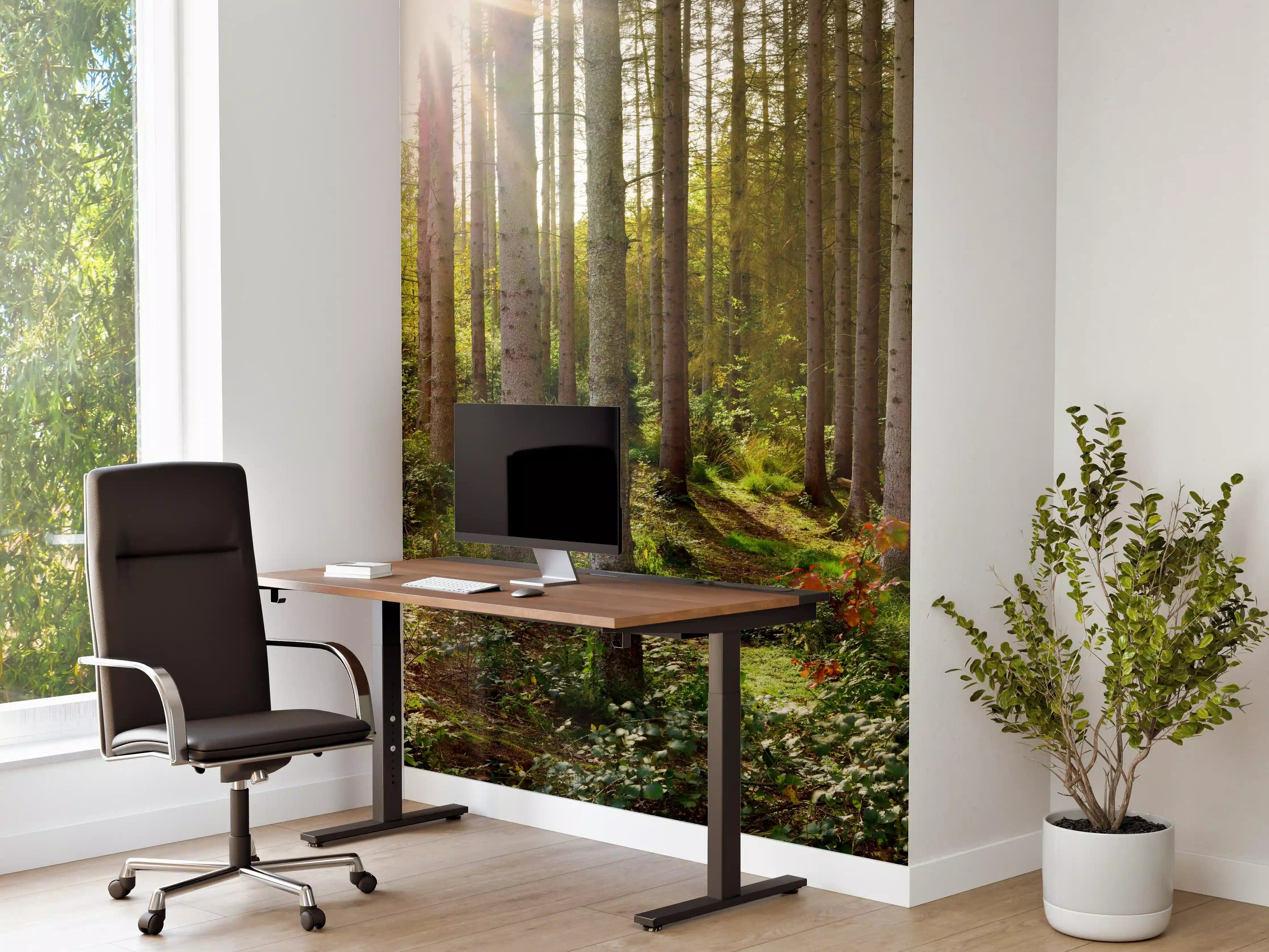 Büro Wandgestaltung - Schöner Fichtenwald im Herbst