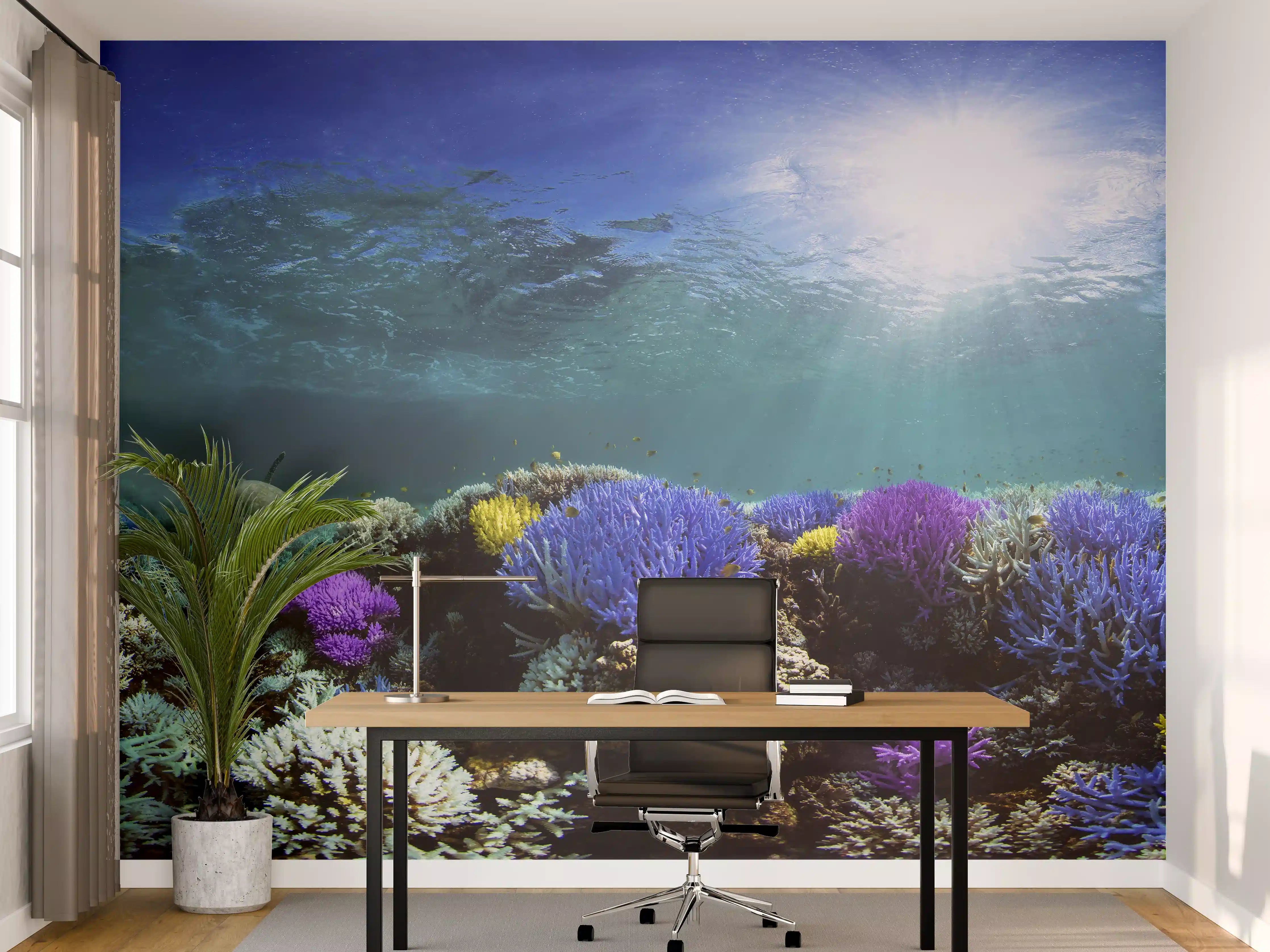 Büro Wandgestaltung - Schönes Korallenriff