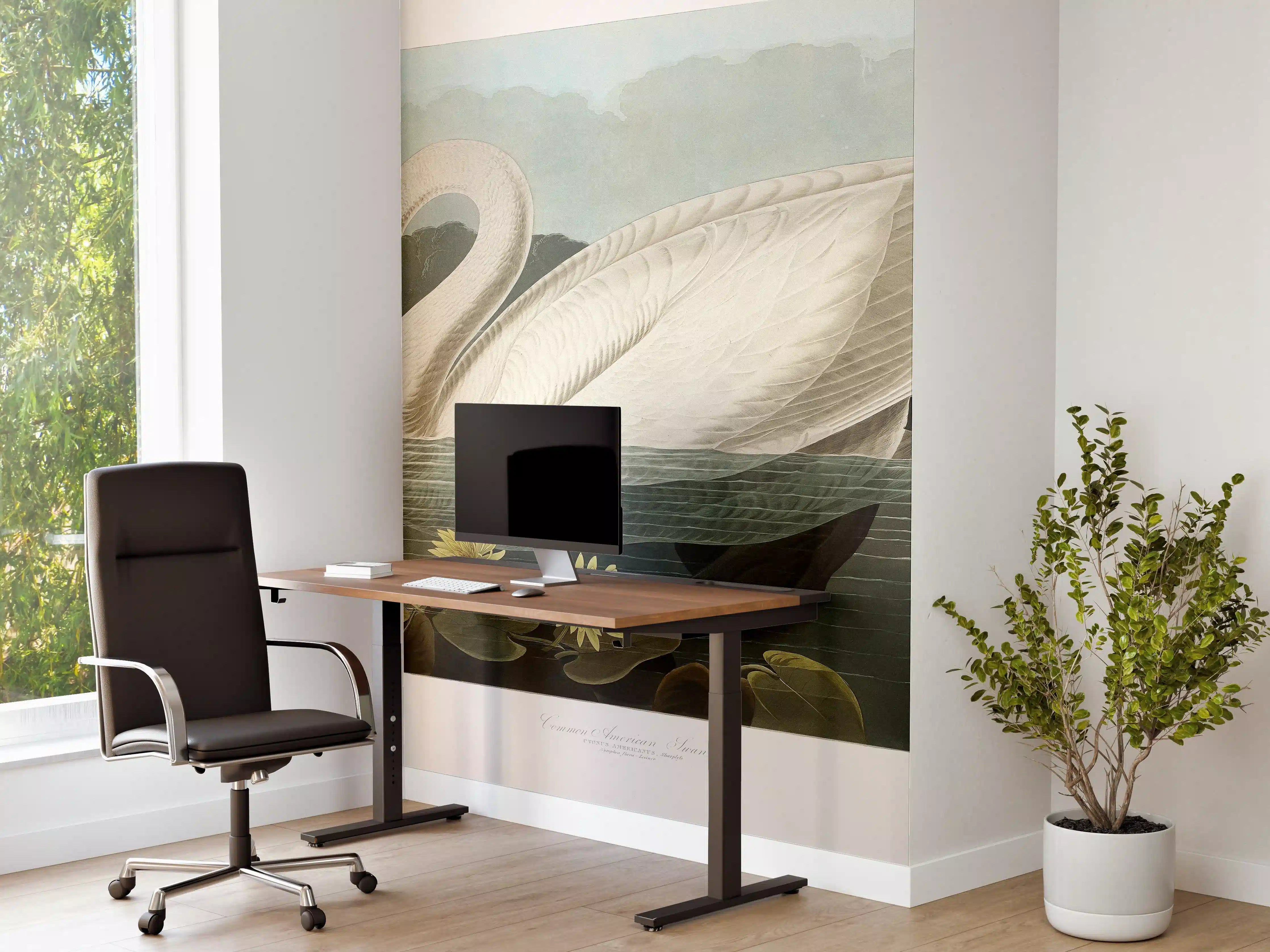 Büro Wandgestaltung - Schwan Portait - Robert Havell 