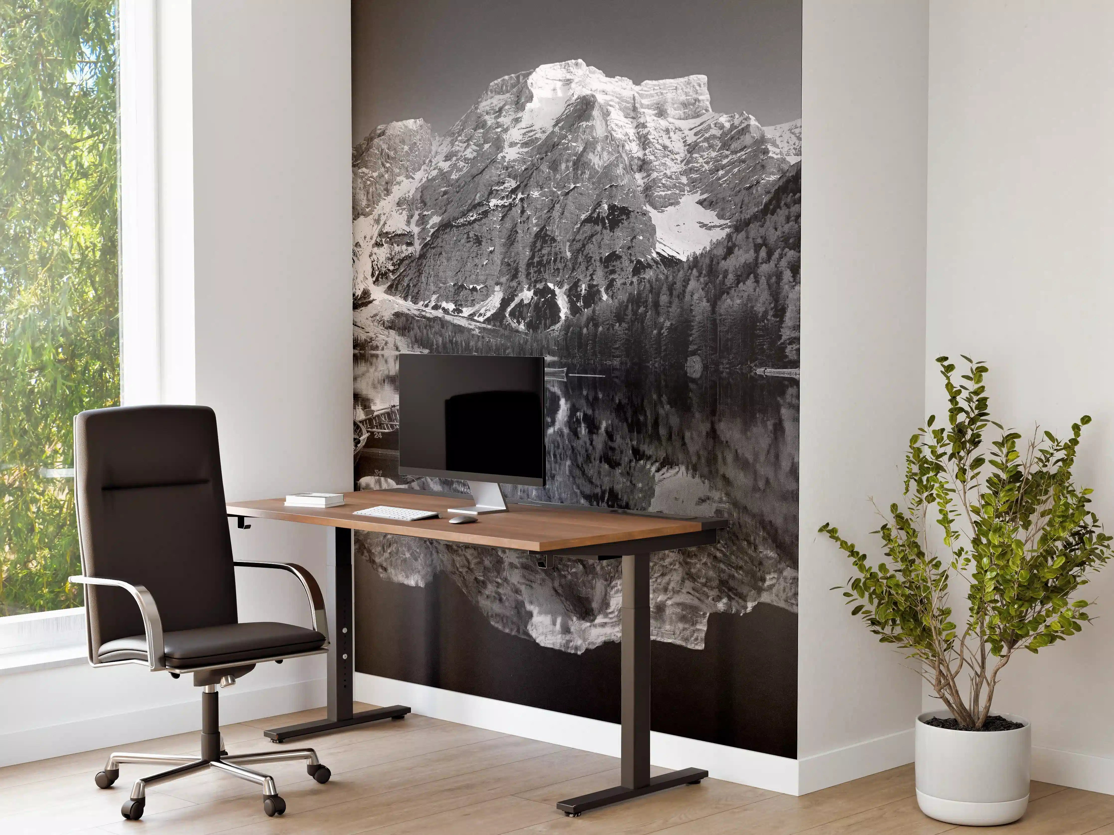 Büro Wandgestaltung - Schwarz-Weiß Bergsee Idylle