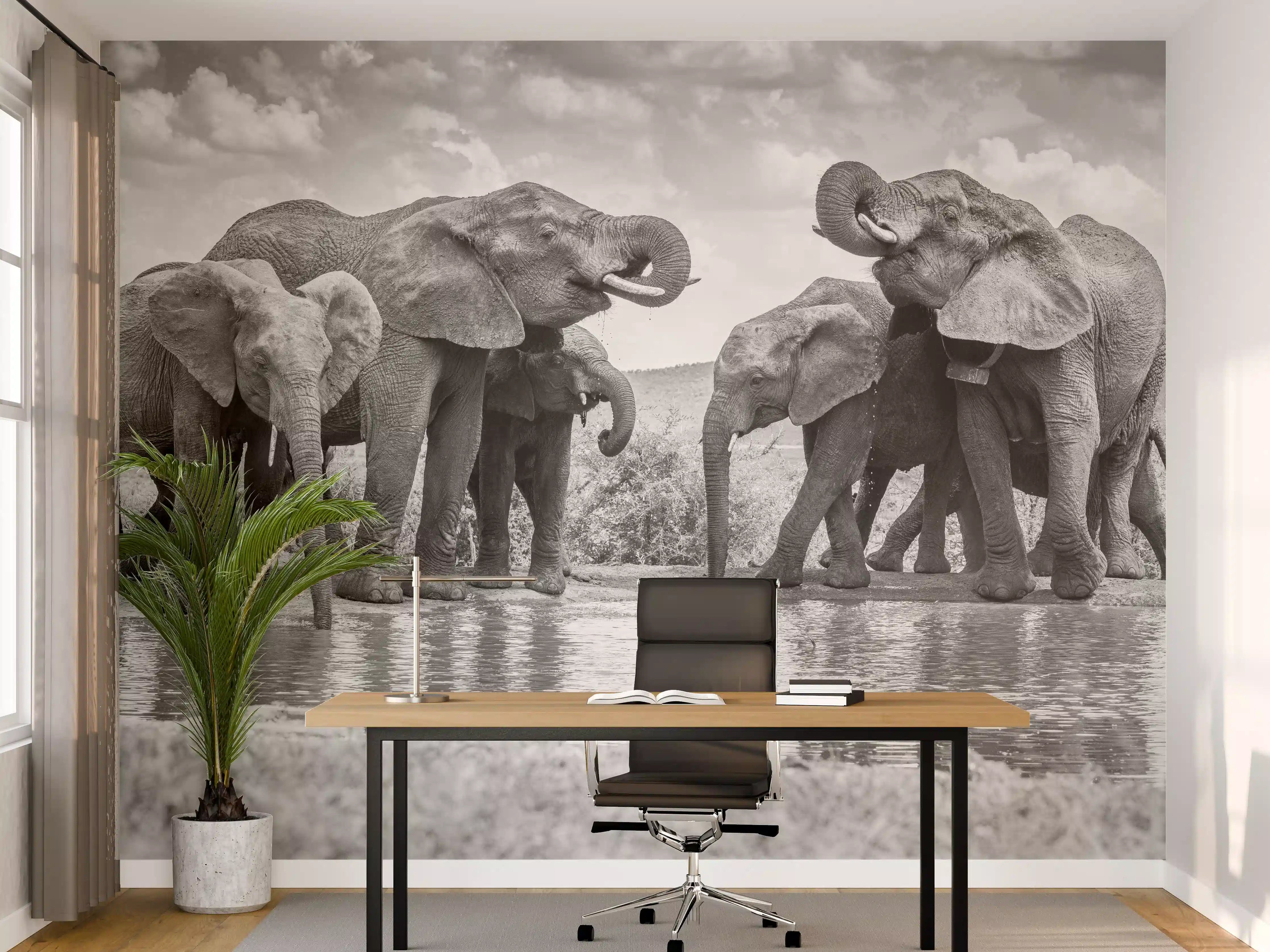 Büro Wandgestaltung - Schwarz-Weiß-Elefantenfamilie am Wasser