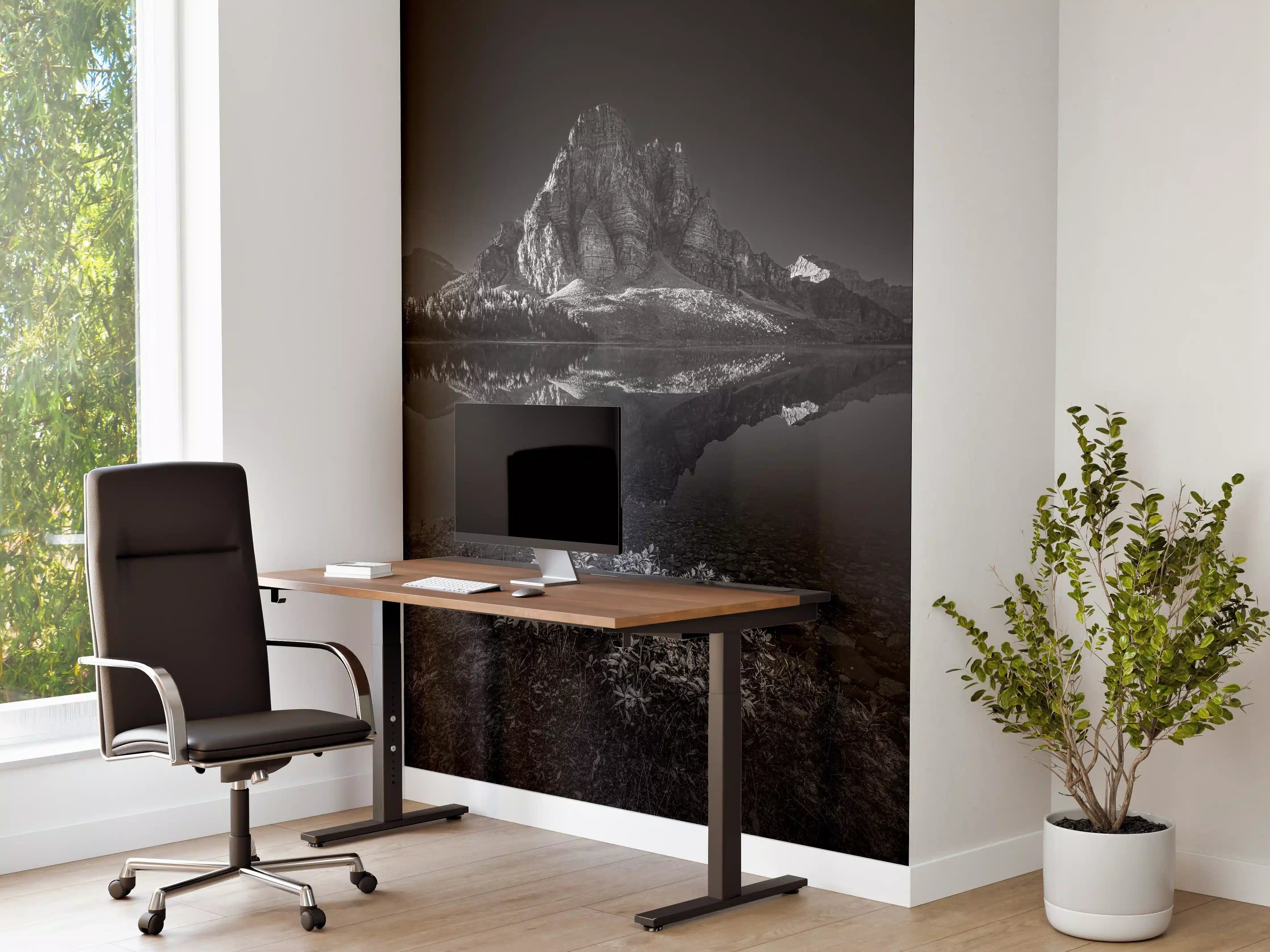 Büro Wandgestaltung - Schwarz-Weiß Gebirgsreflexion