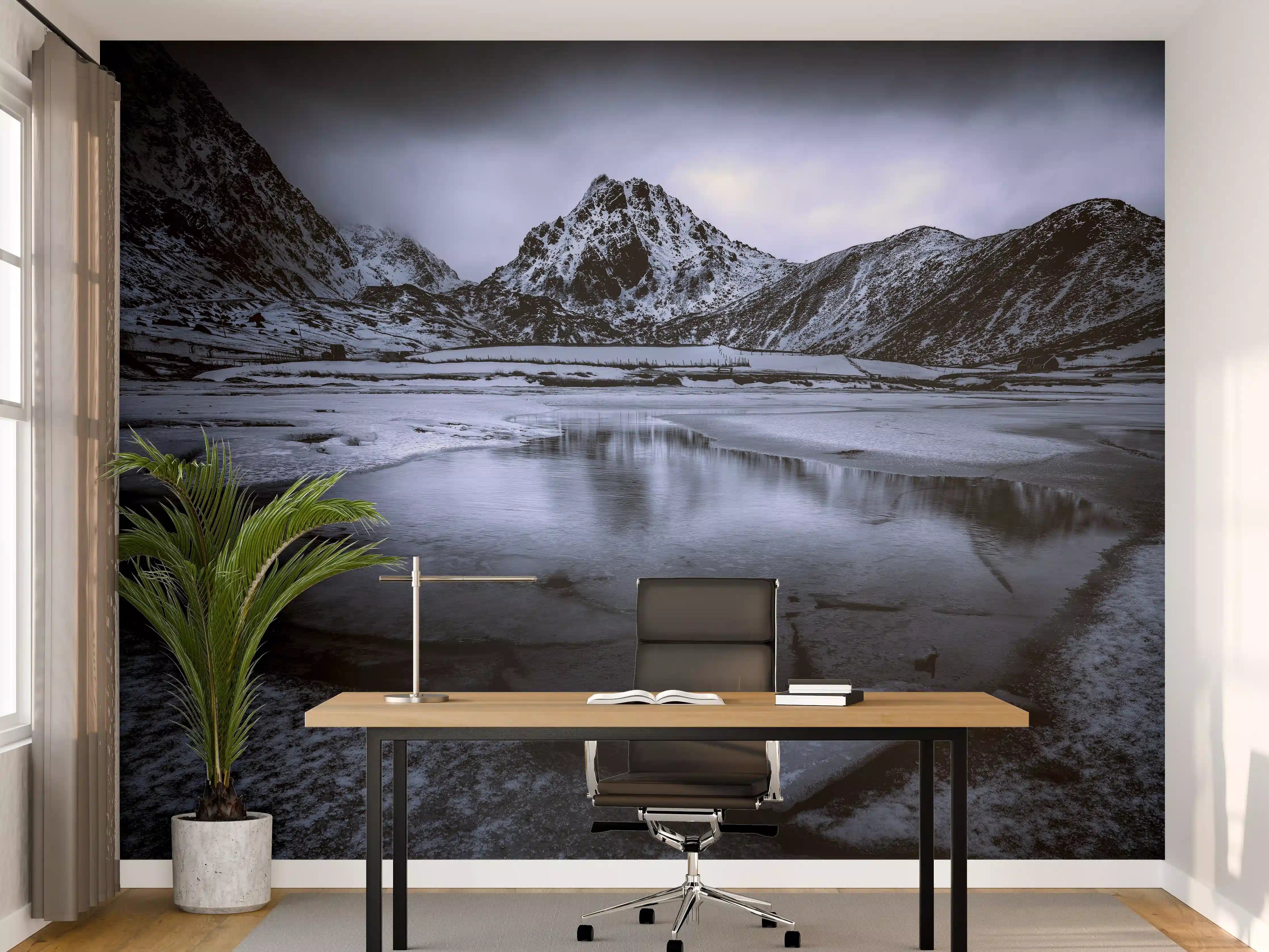 Büro Wandgestaltung - Schwarz-Weiß Winterlandschaft