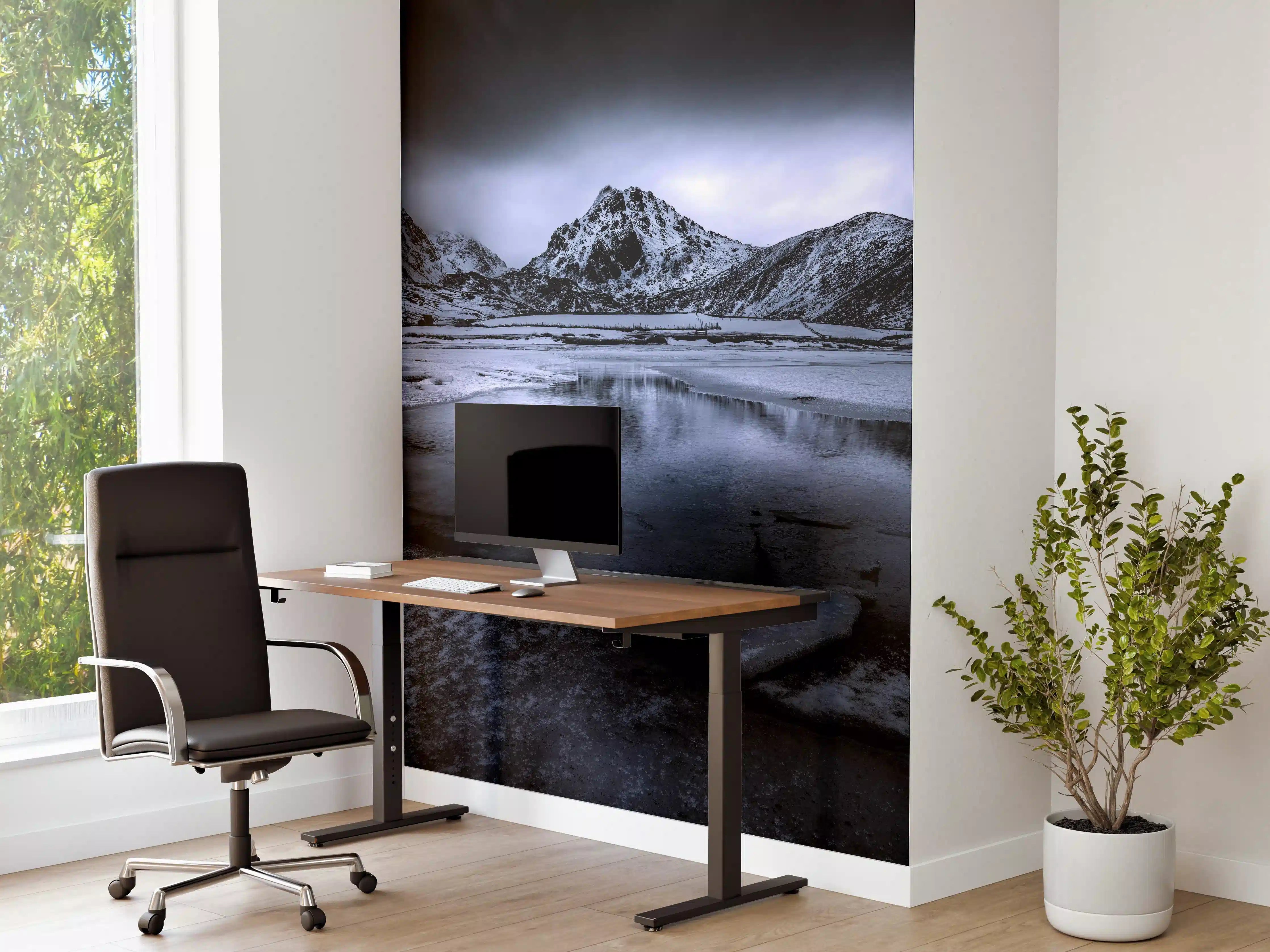 Büro Wandgestaltung - Schwarz-Weiß Winterlandschaft