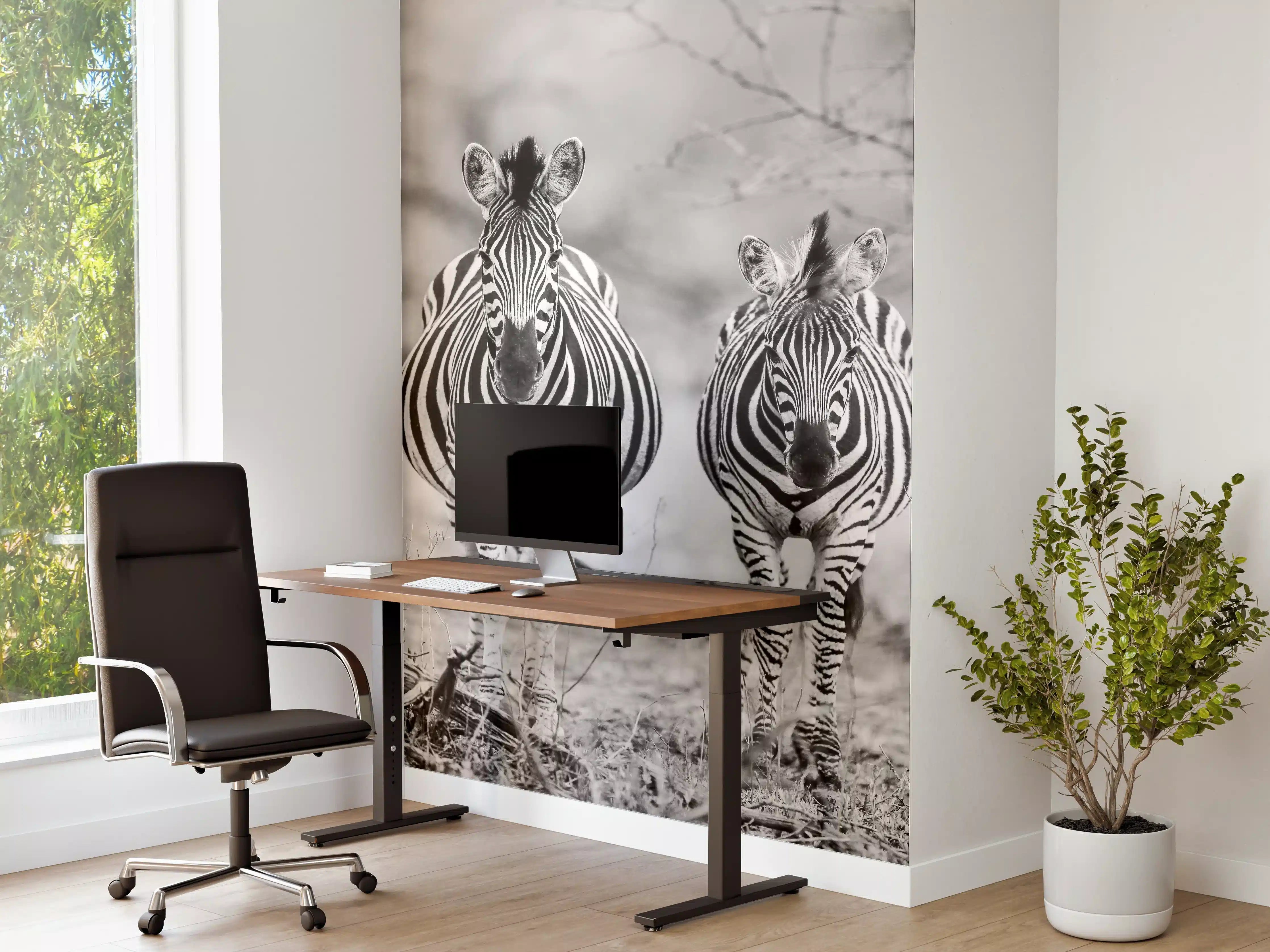 Büro Wandgestaltung - Schwarz-Weiß Zebrapaar