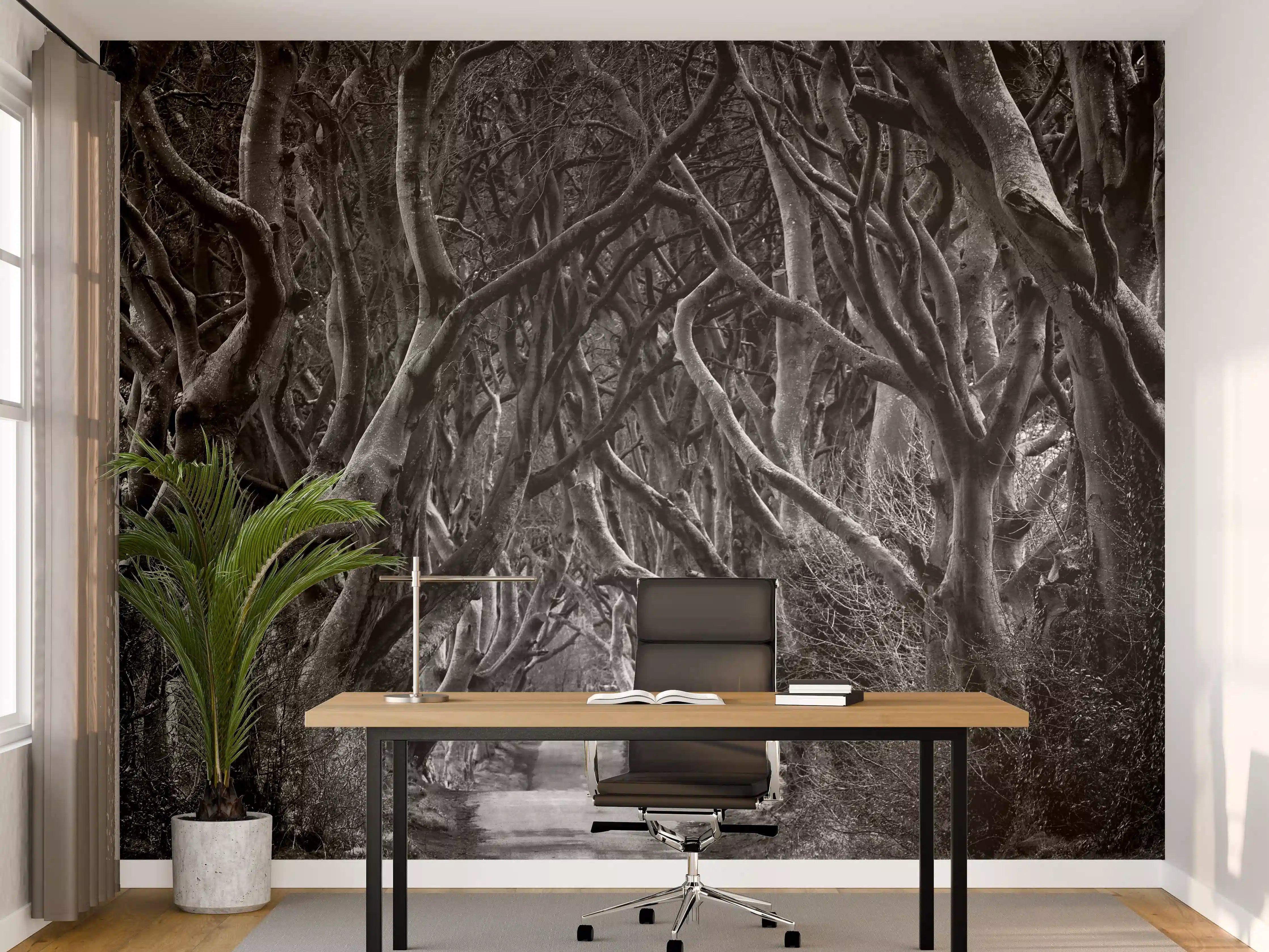 Büro Wandgestaltung - Schwarz, weißer Waldweg