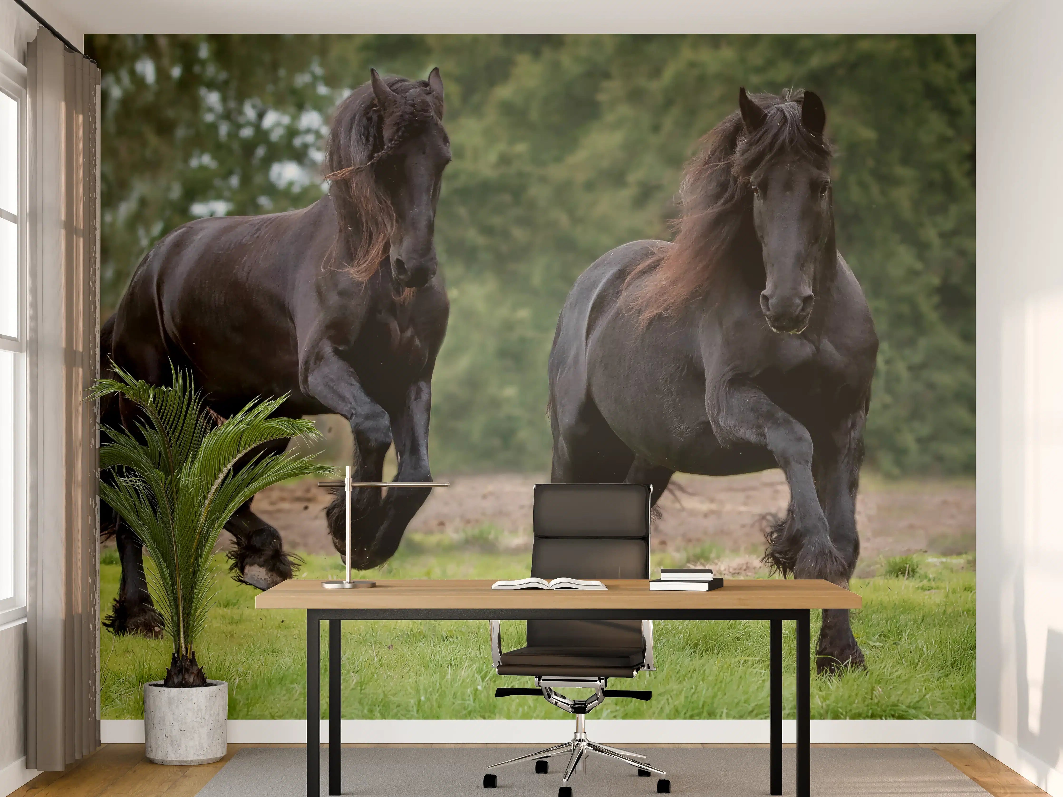 Büro Wandgestaltung - Schwarze prächtige Friesenpferde