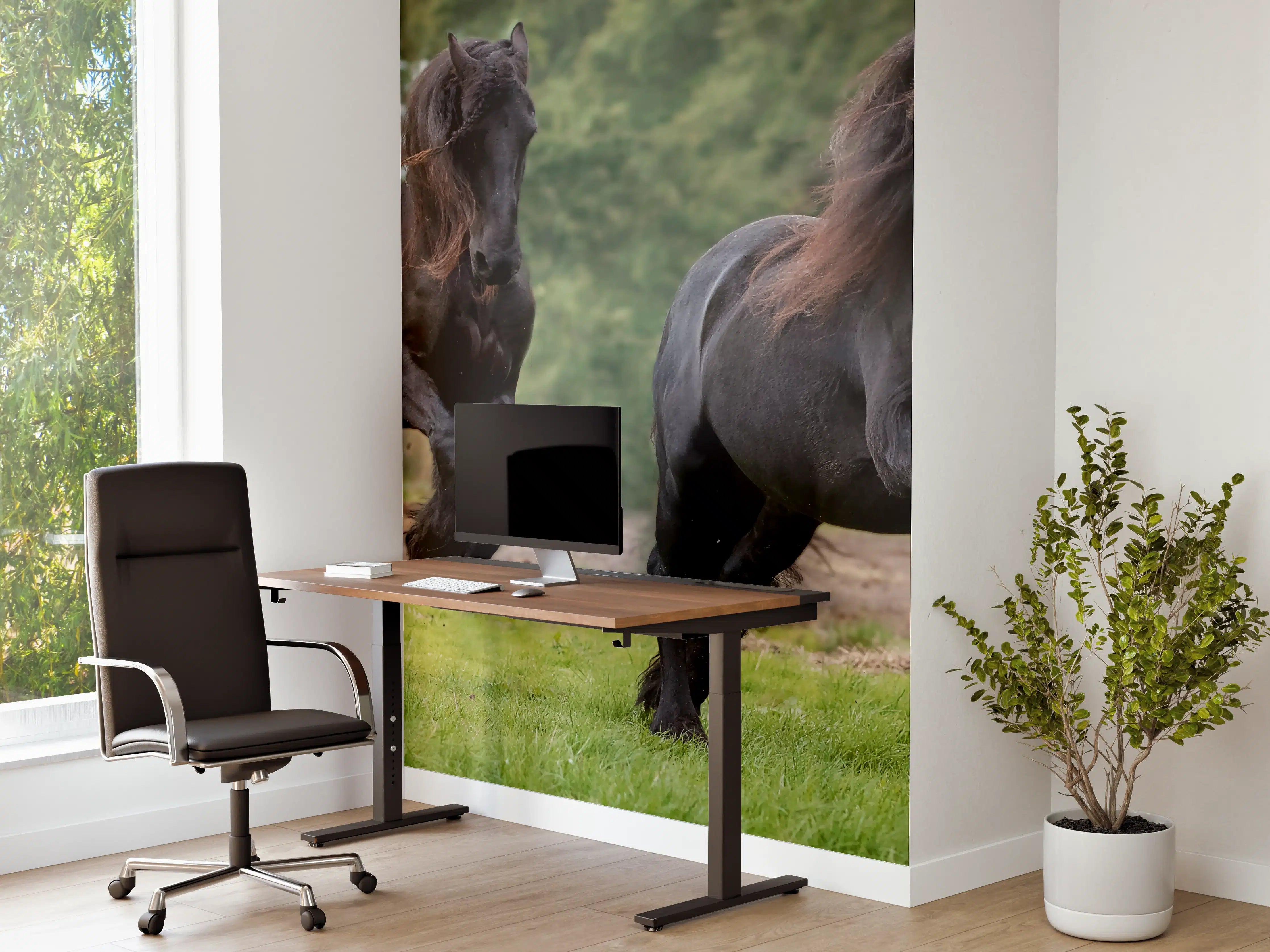 Büro Wandgestaltung - Schwarze prächtige Friesenpferde