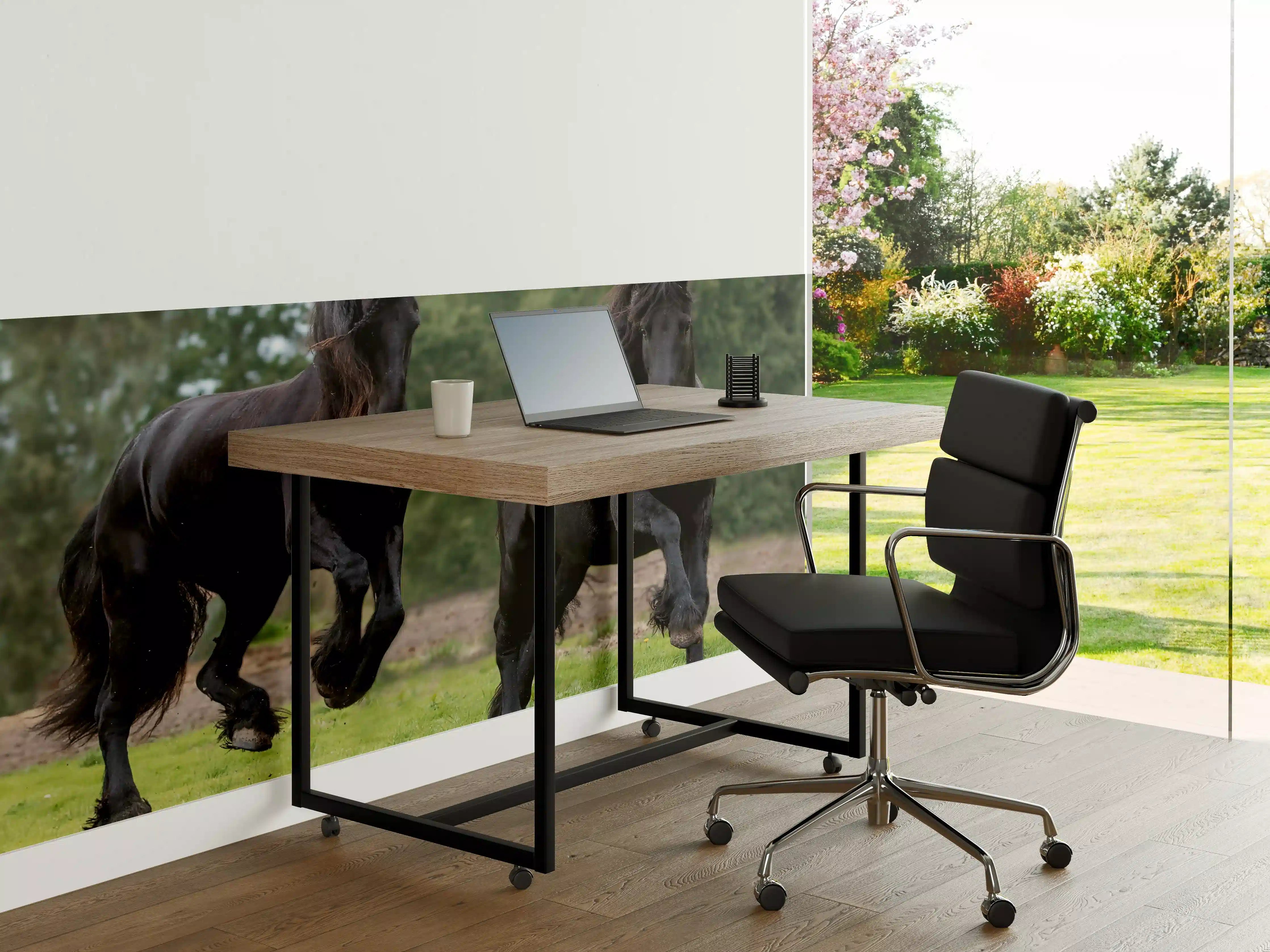 Büro Wandgestaltung - Schwarze prächtige Friesenpferde