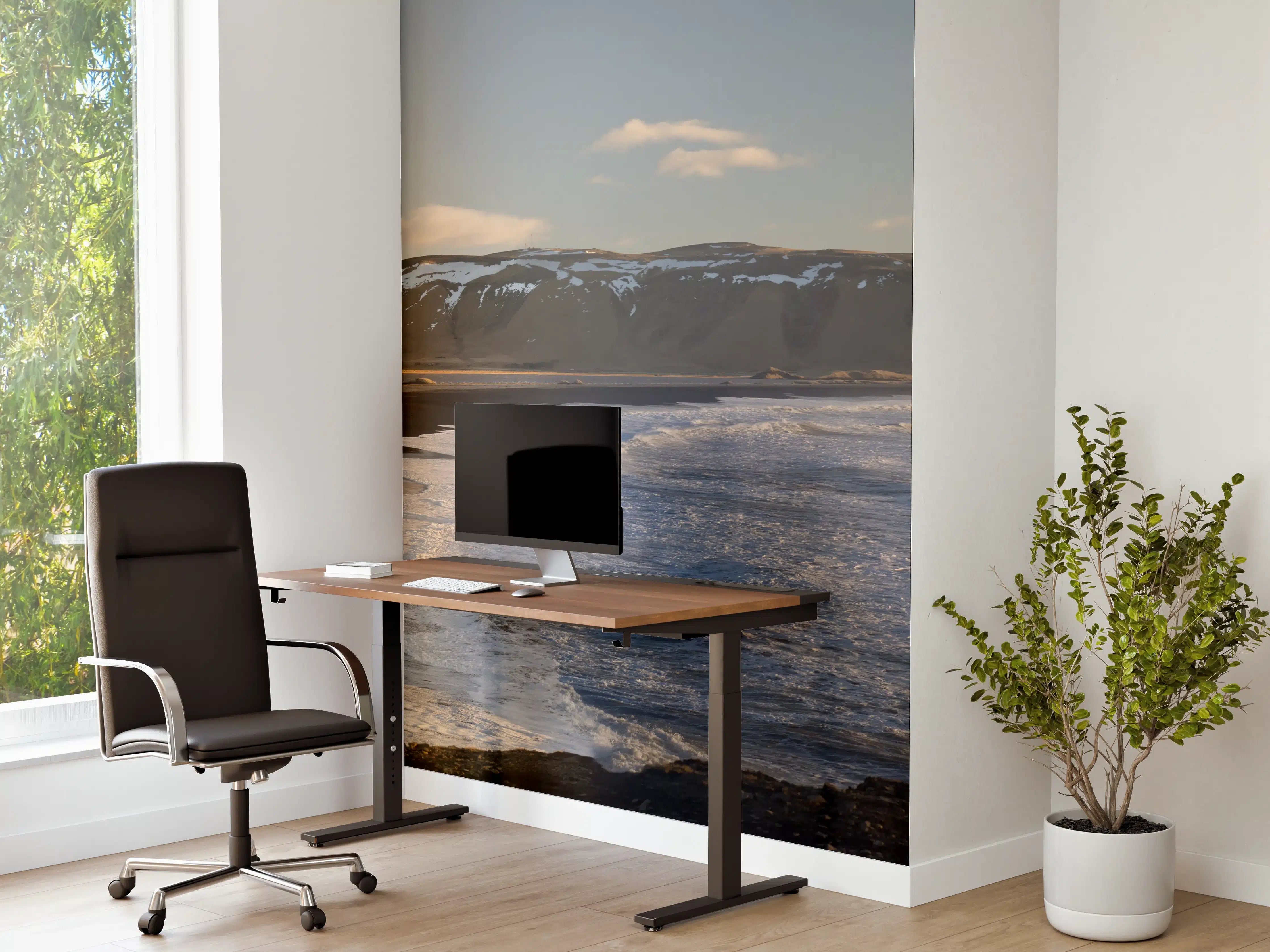 Büro Wandgestaltung - Schwarzer Strand von Dyrholaey