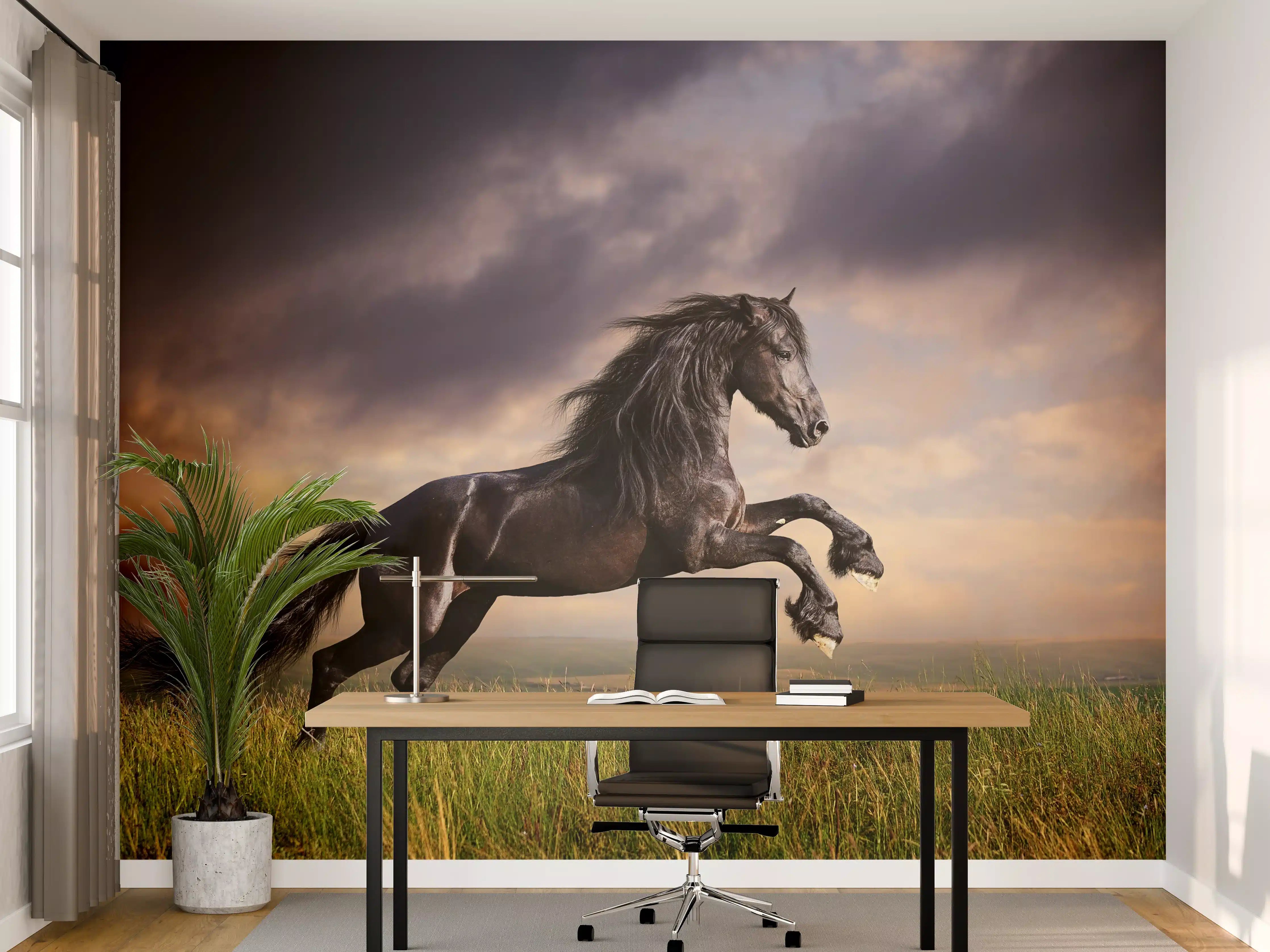 Büro Wandgestaltung - Schwarzes Friesenpferd Galopp
