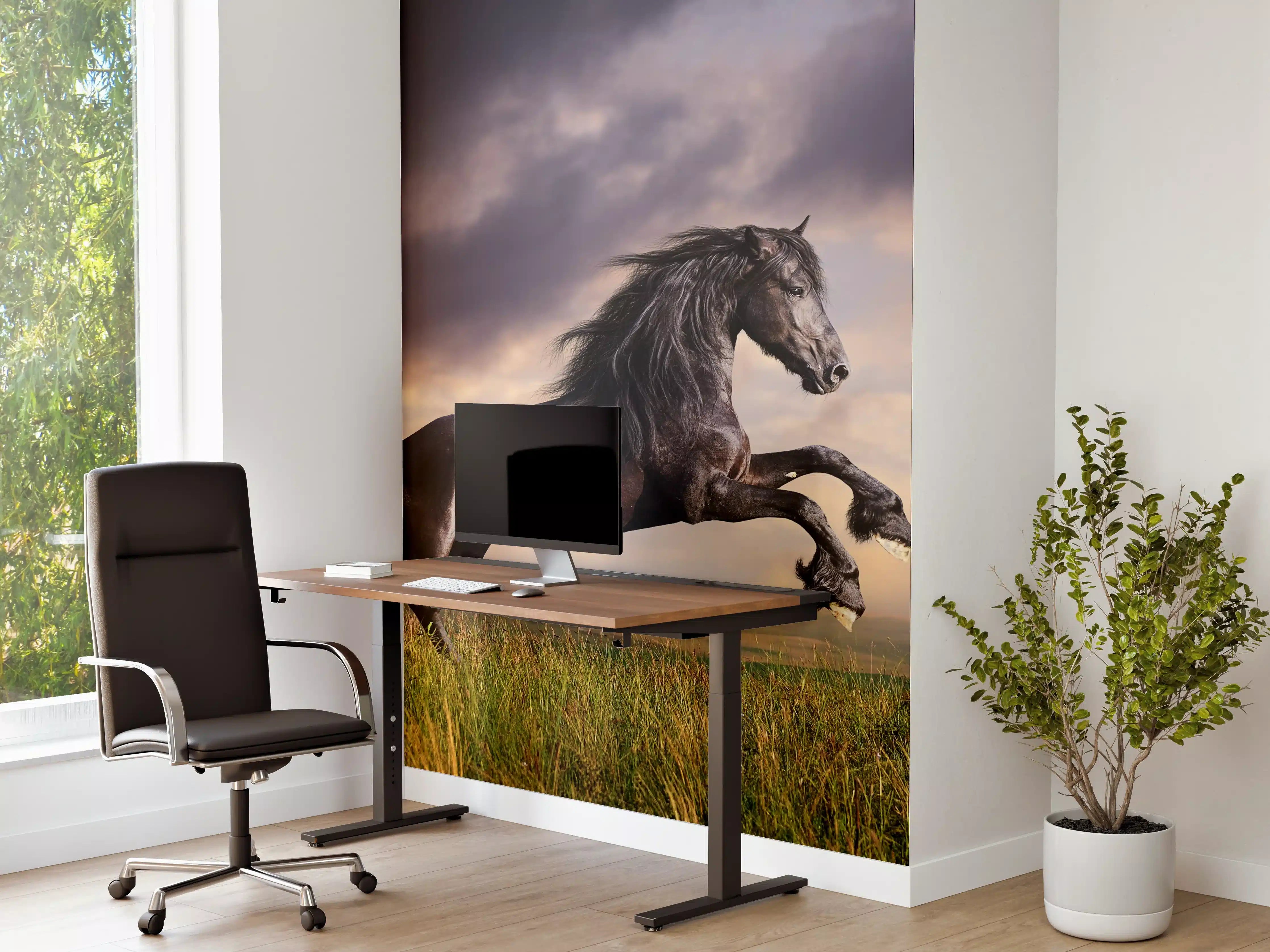 Büro Wandgestaltung - Schwarzes Friesenpferd Galopp