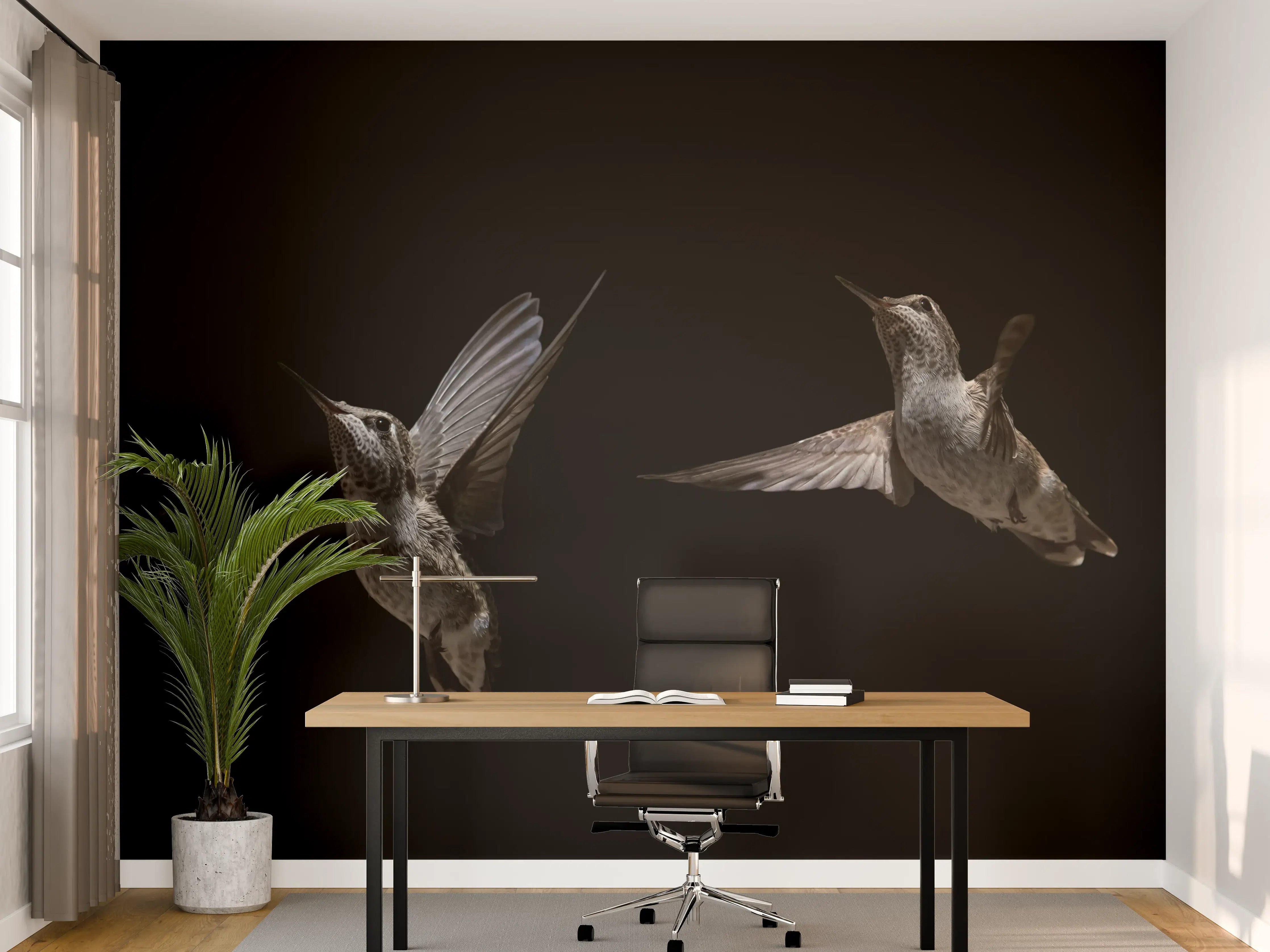 Büro Wandgestaltung - Schwarzkinnkolibri Vogel mit Schwarzem Hintergrund