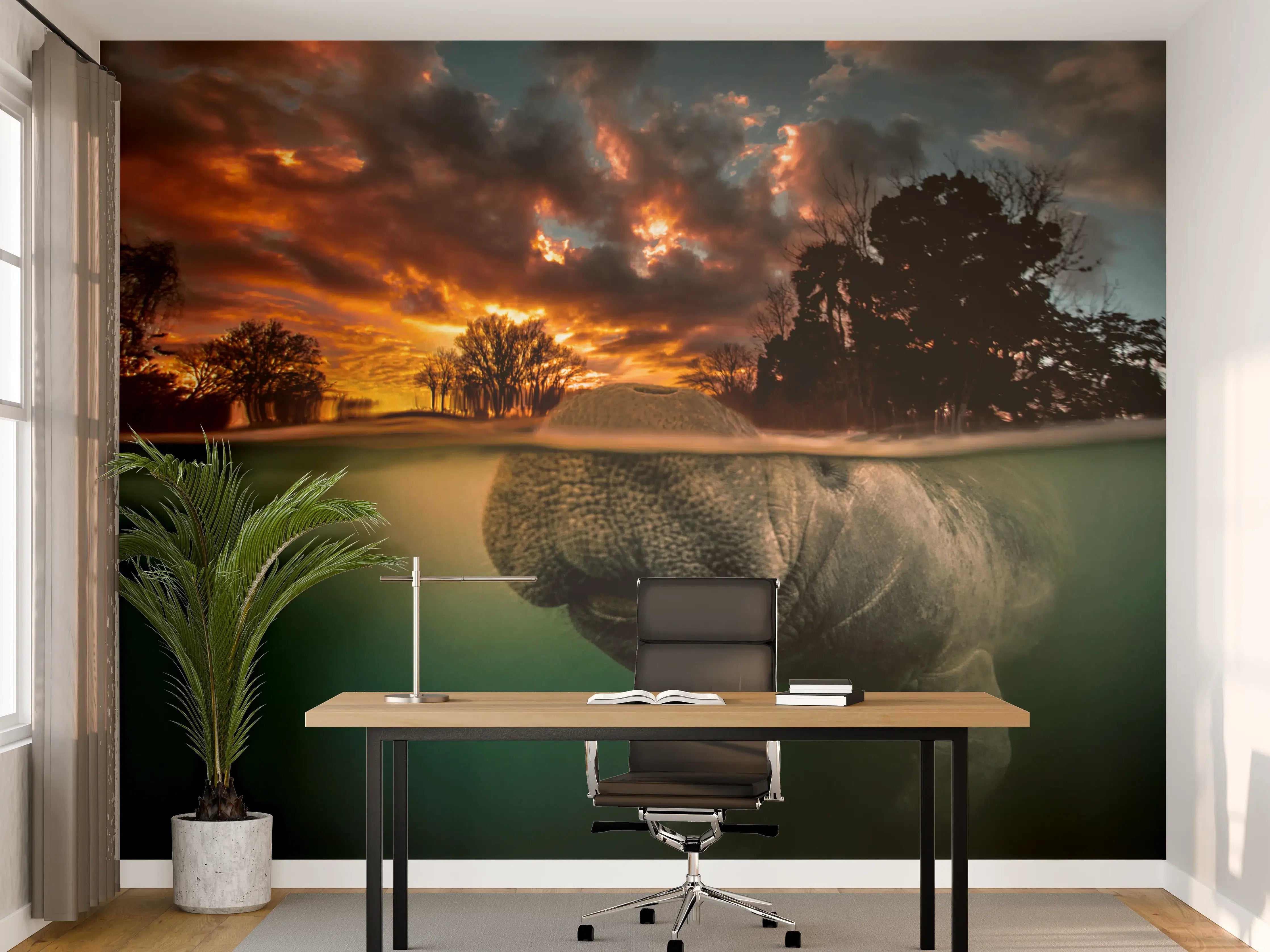 Büro Wandgestaltung - Seekuh taucht in Florida auf