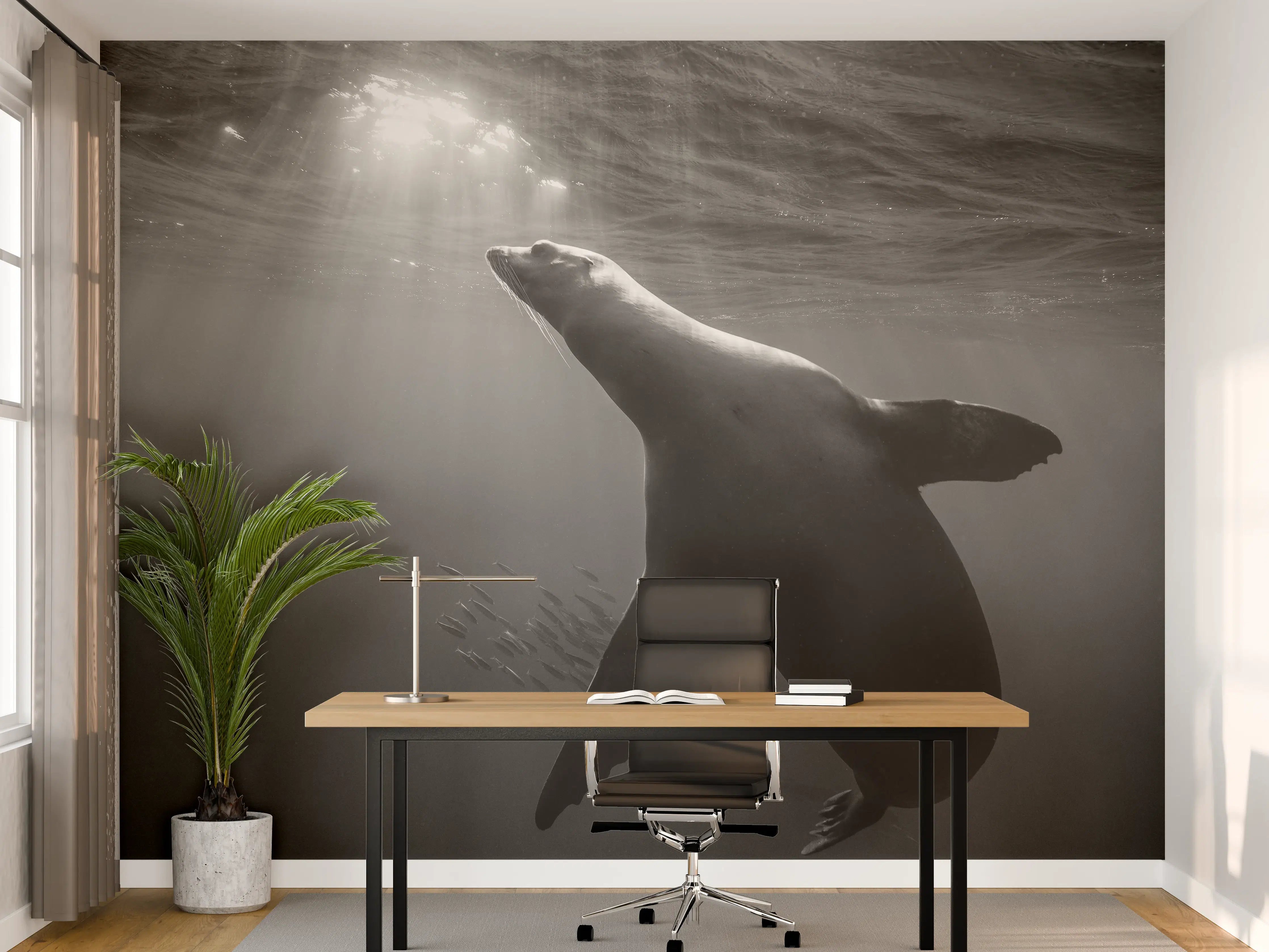 Büro Wandgestaltung - Seelöwe beim Fressen von Sardinen