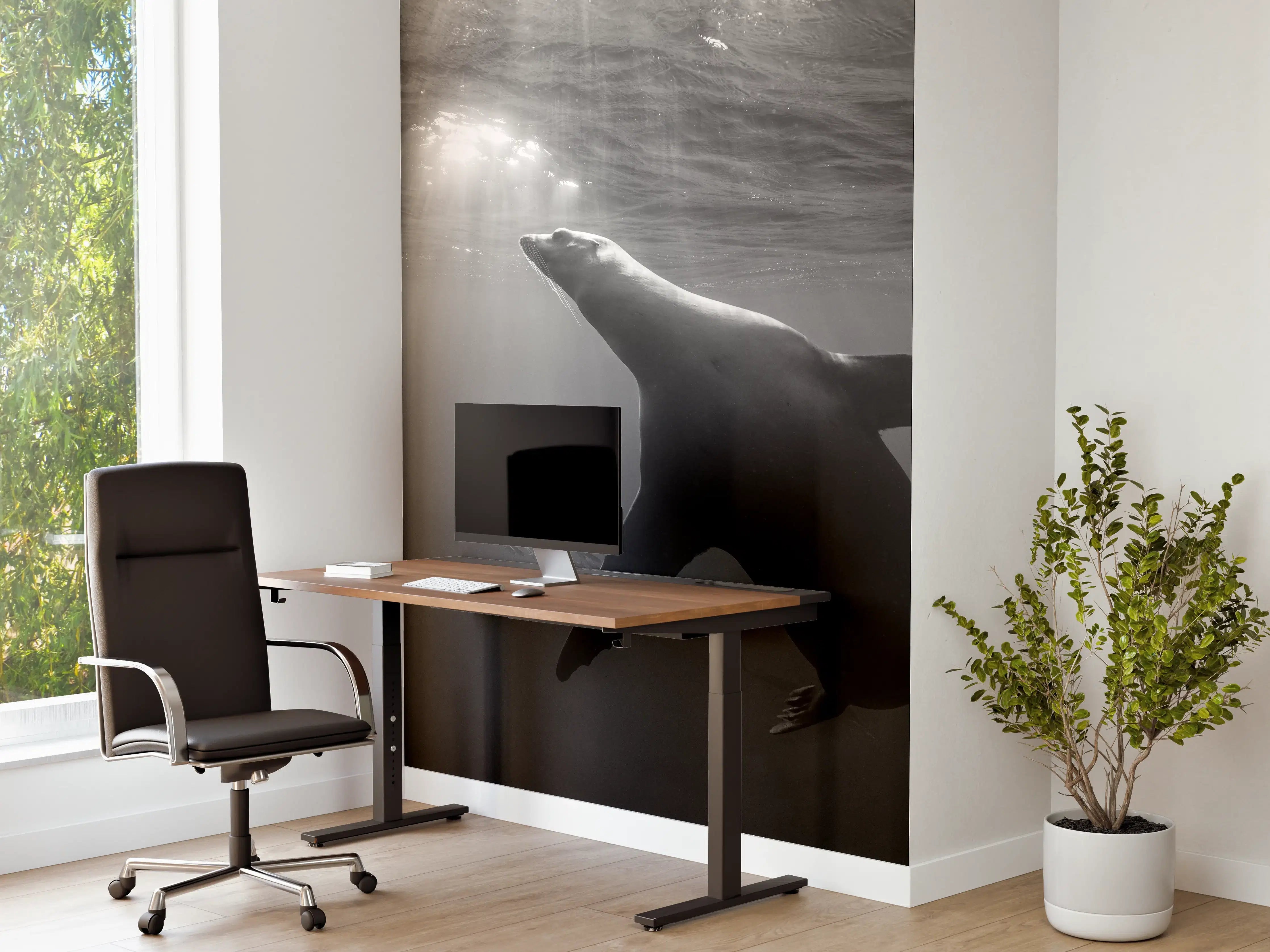 Büro Wandgestaltung - Seelöwe beim Fressen von Sardinen
