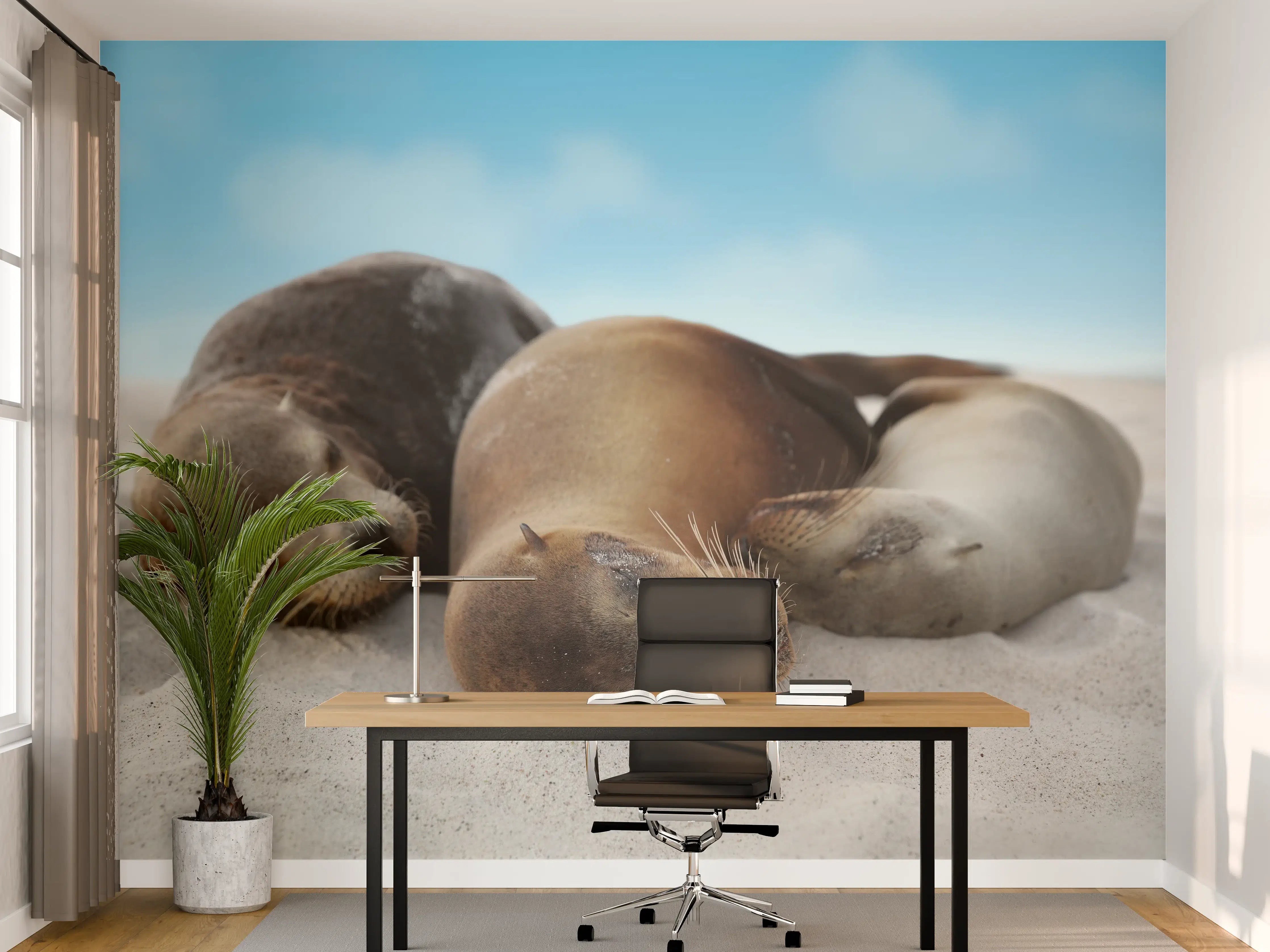 Büro Wandgestaltung - Seelöwen im Sand liegend