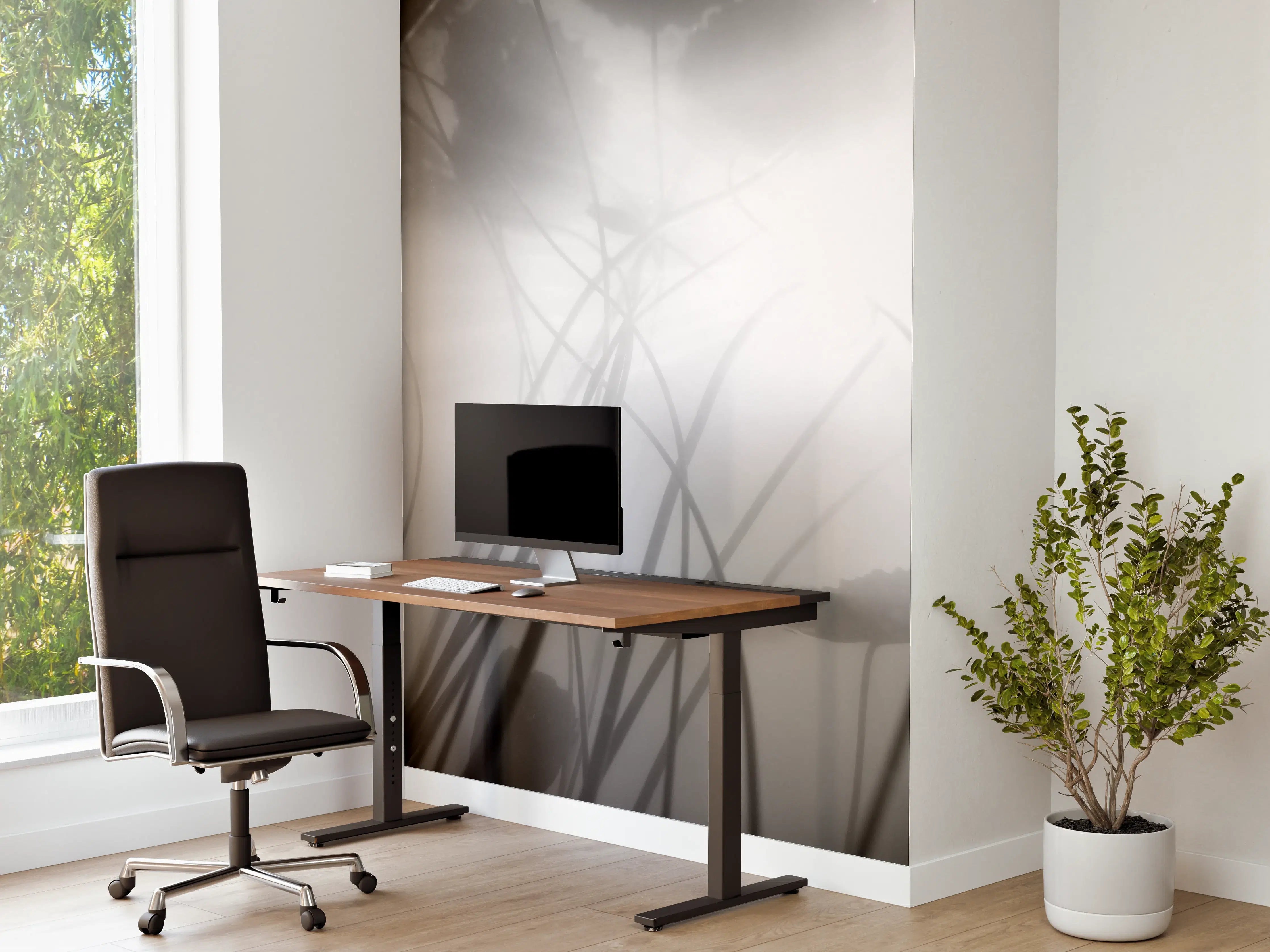 Büro Wandgestaltung - Seerose Monochrom Reflexion
