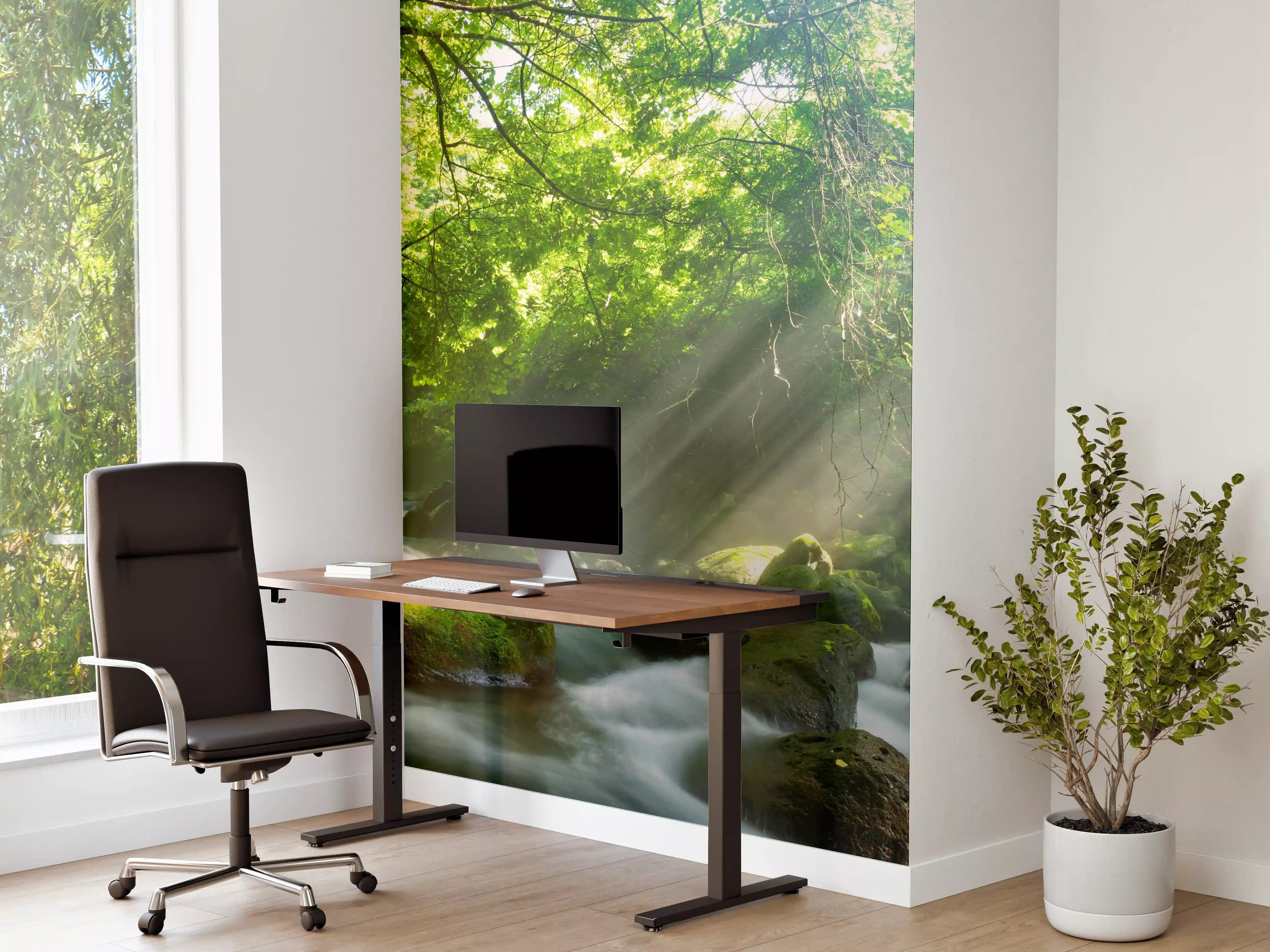 Büro Wandgestaltung - Shangrenzawa
