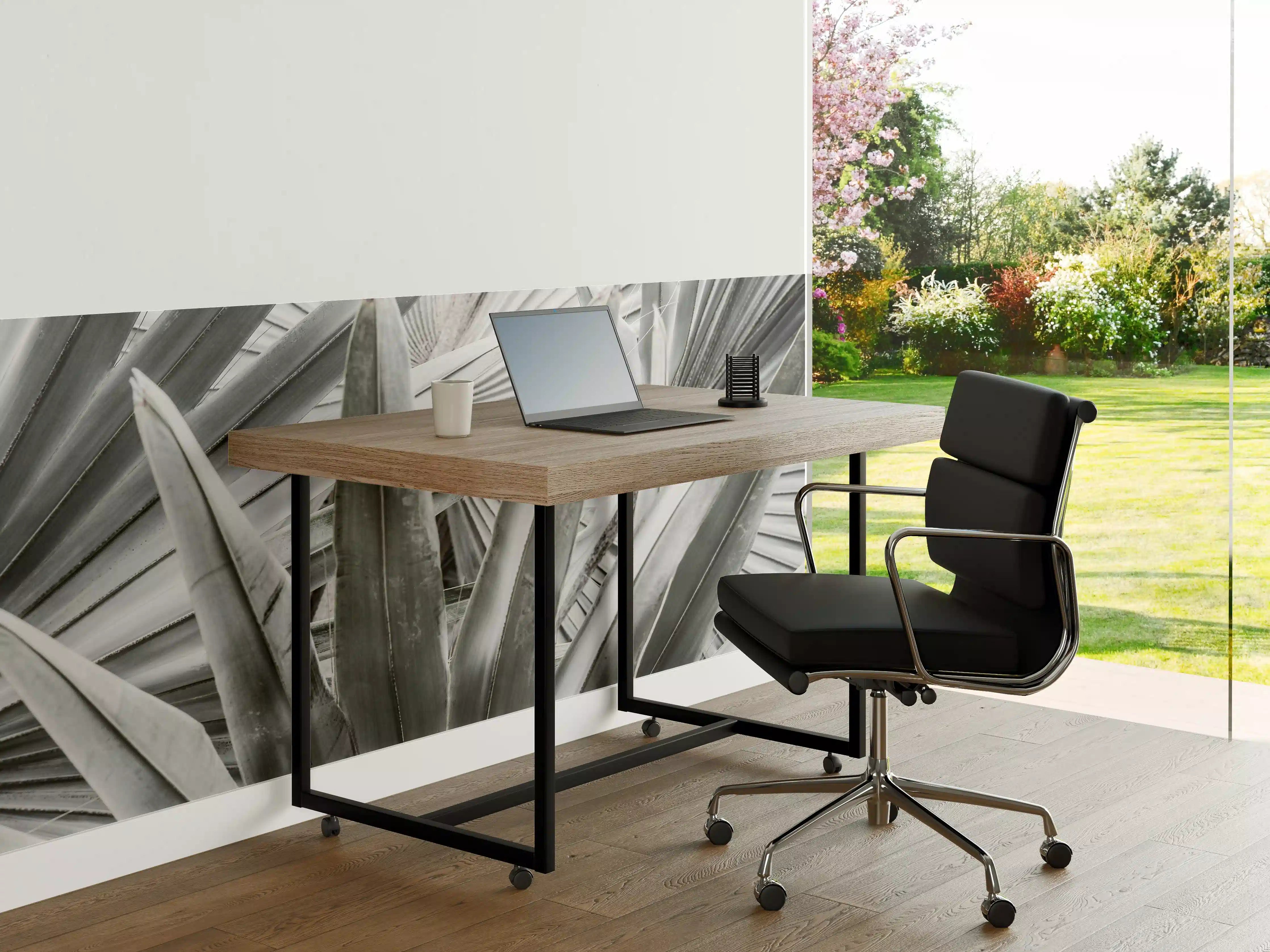 Büro Wandgestaltung - Silberne Agaven-Nahaufnahme