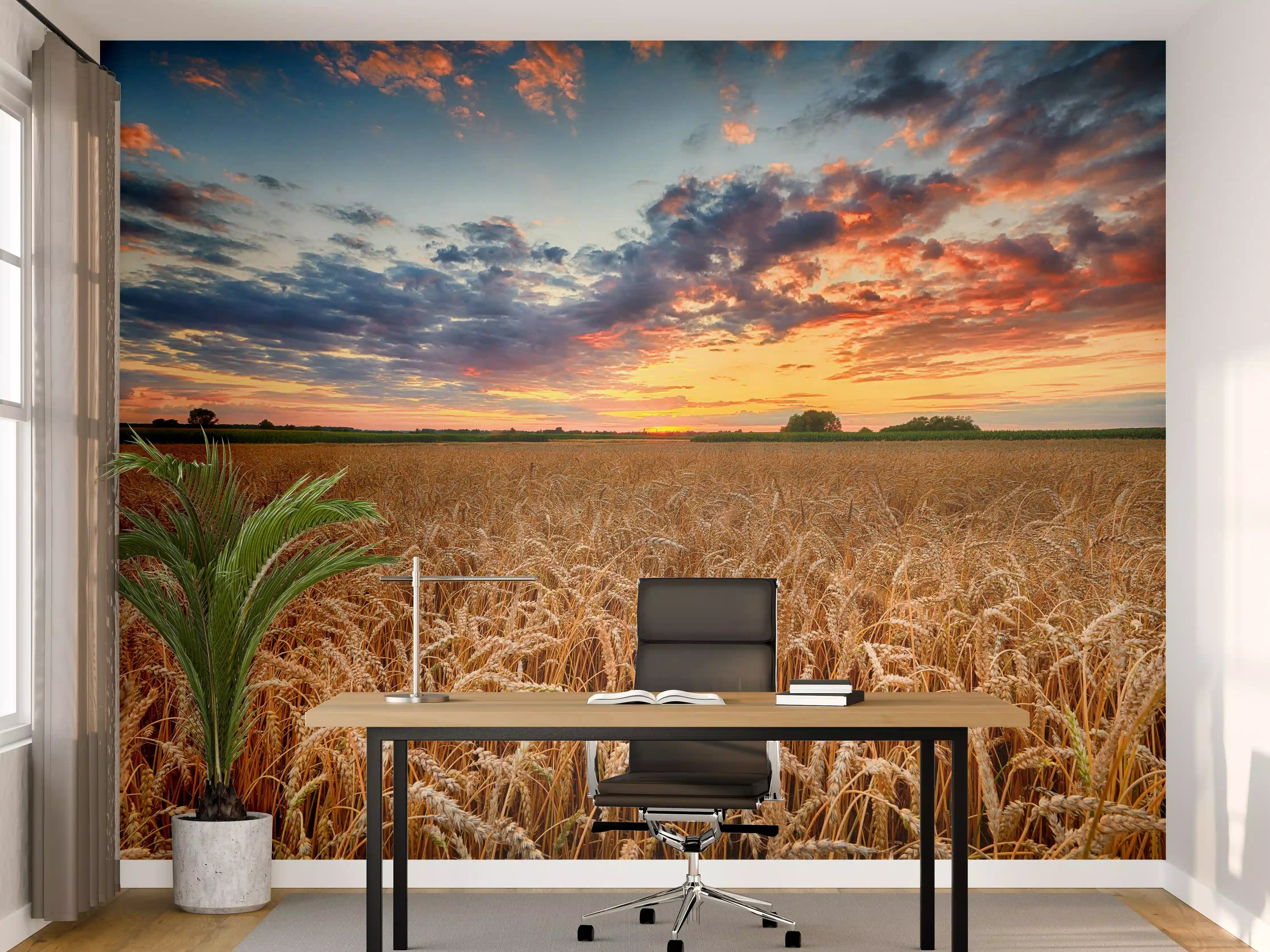 Büro Wandgestaltung - Sommer-Sonnenaufgang über Weizenfeldern in der Ukraine