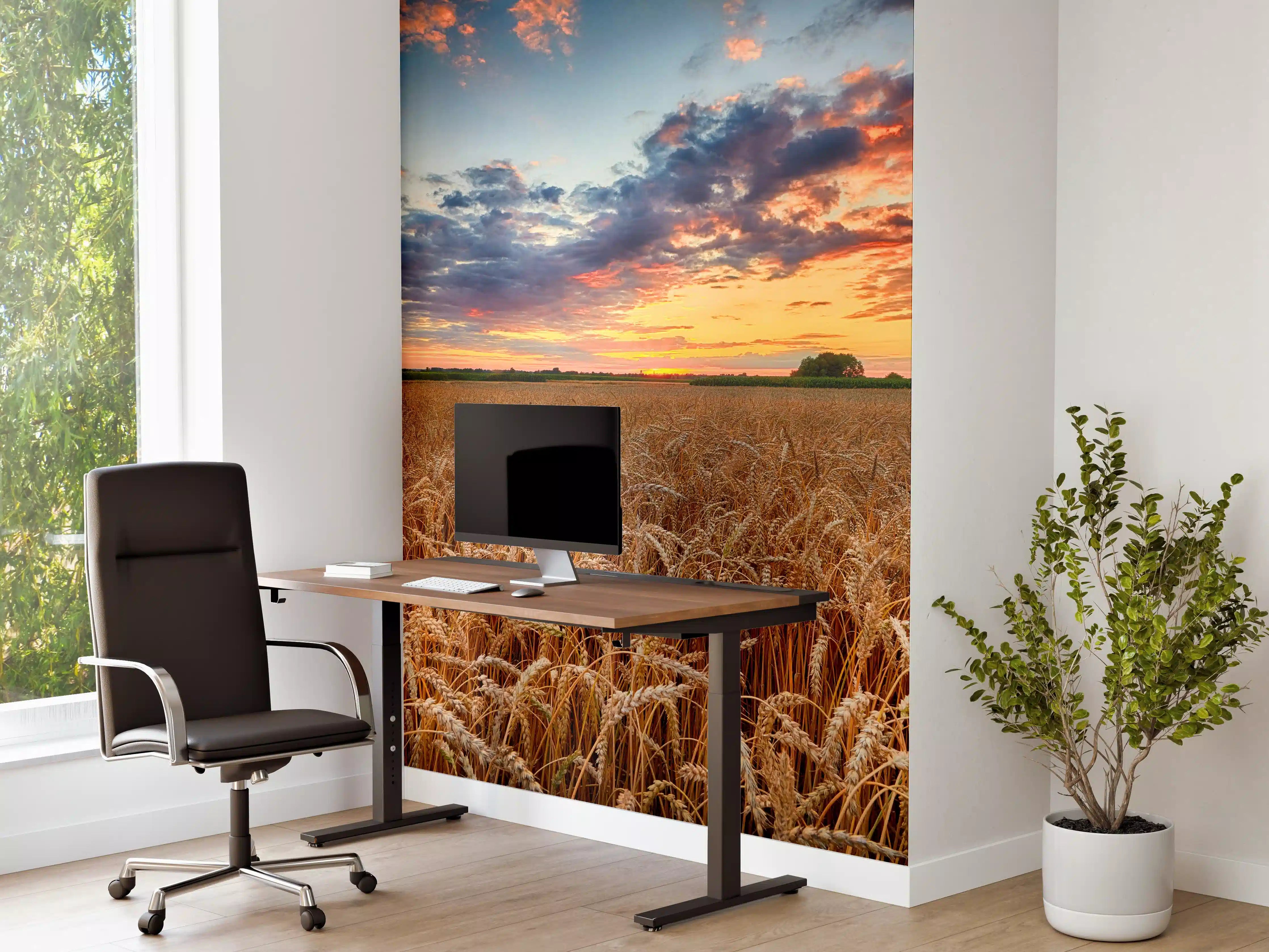 Büro Wandgestaltung - Sommer-Sonnenaufgang über Weizenfeldern in der Ukraine
