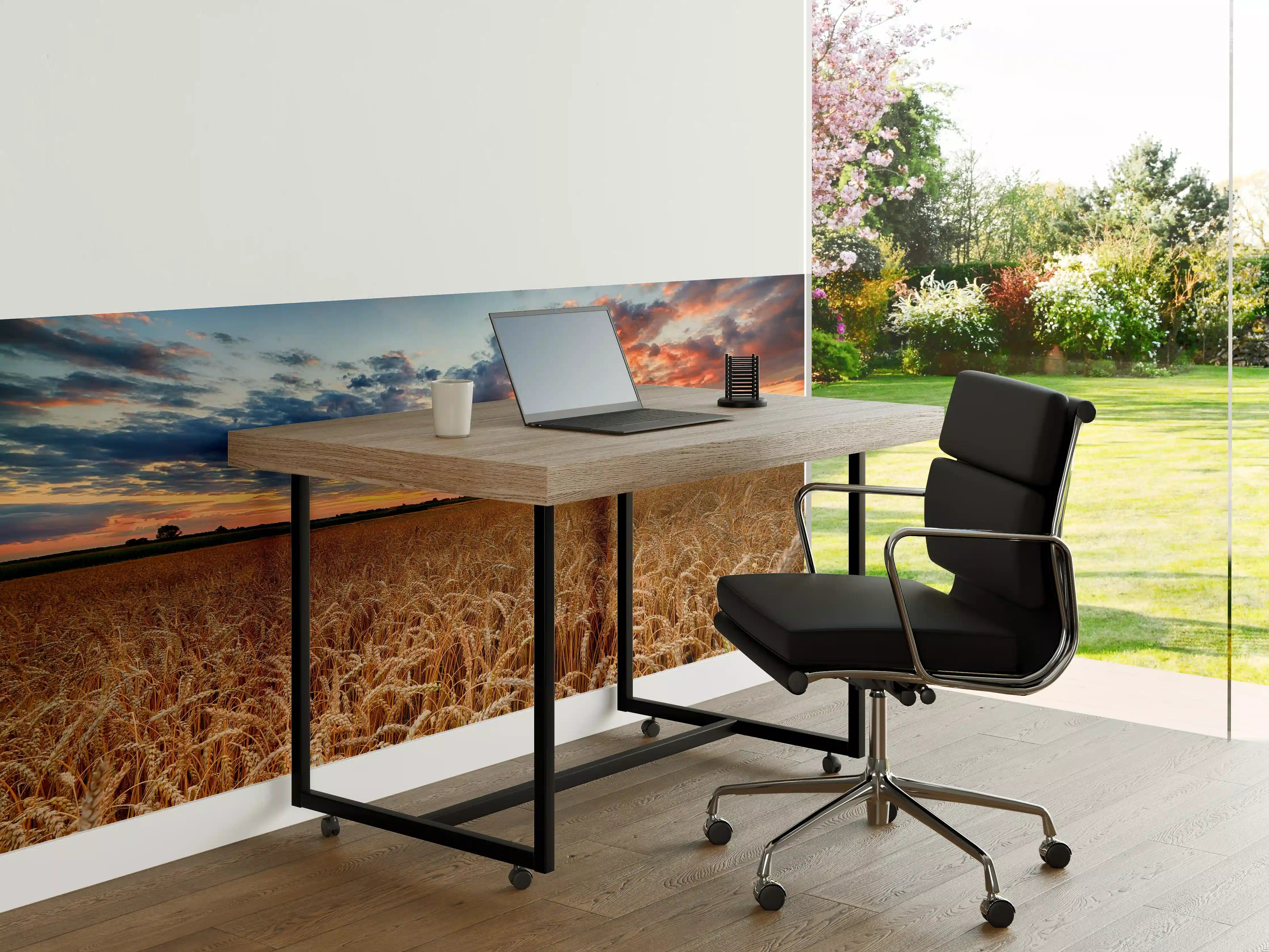 Büro Wandgestaltung - Sommer-Sonnenaufgang über Weizenfeldern in der Ukraine