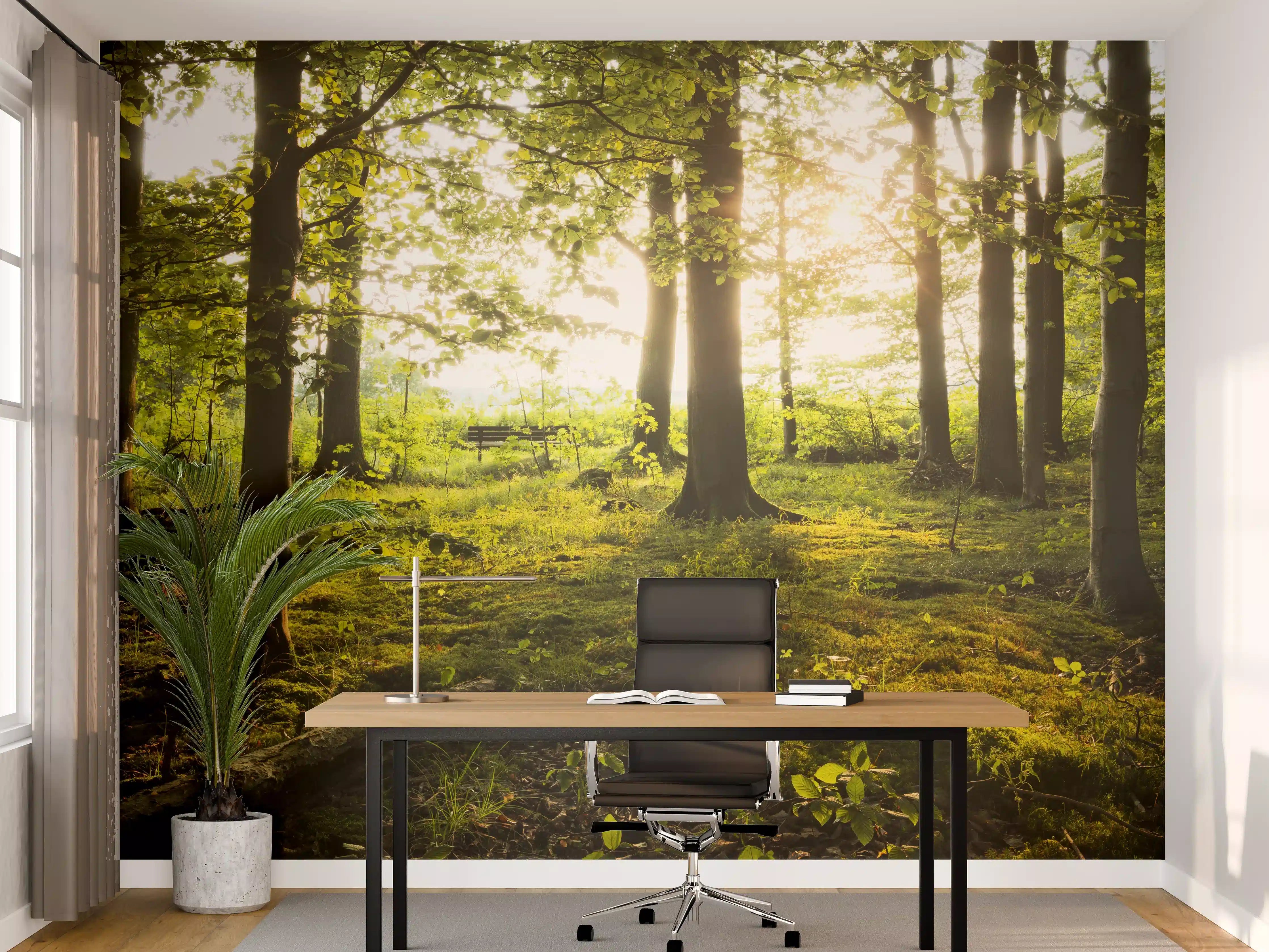 Büro Wandgestaltung - Sommer Wald