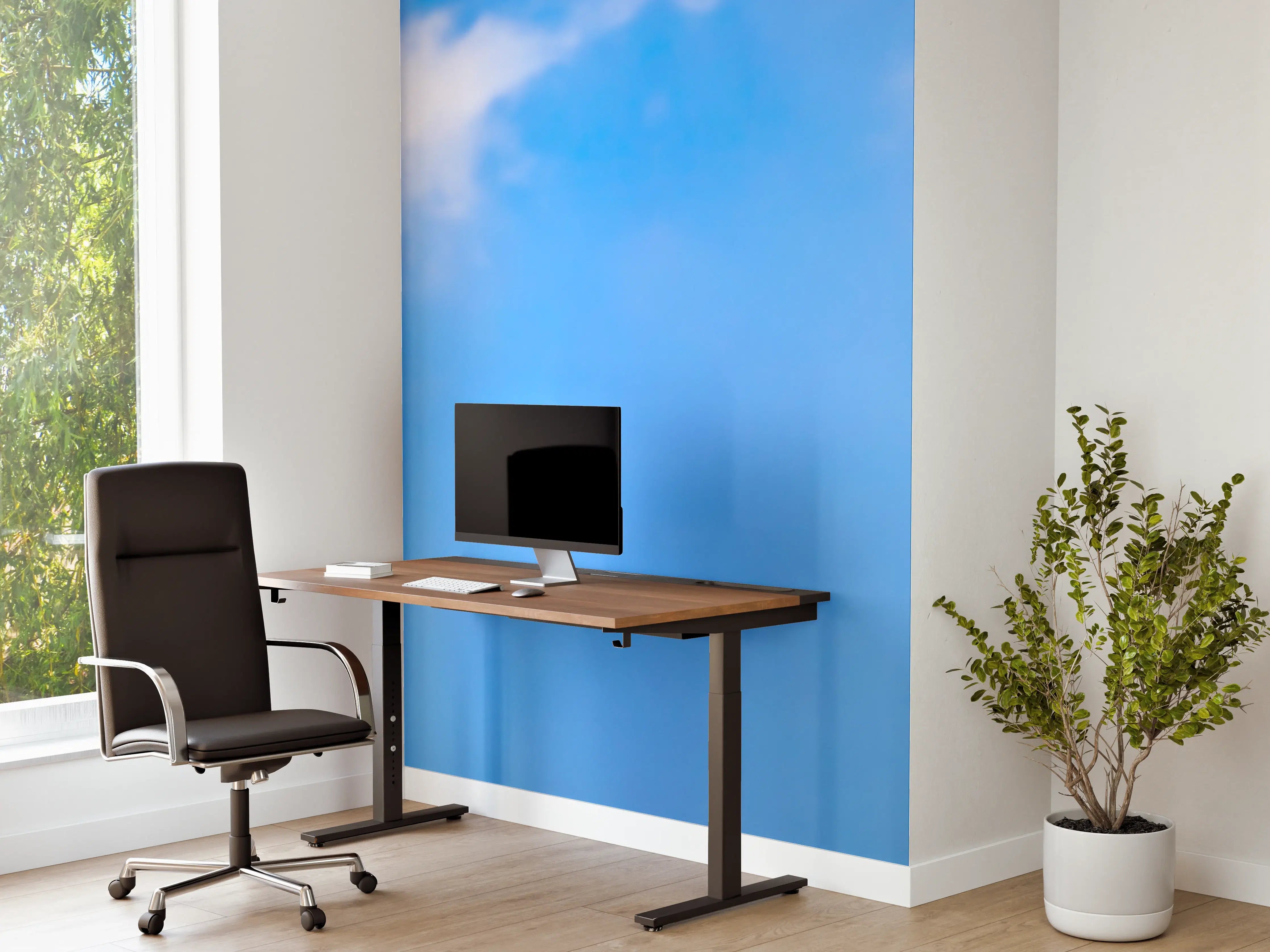 Büro Wandgestaltung - Sonne strahlt auf Palme